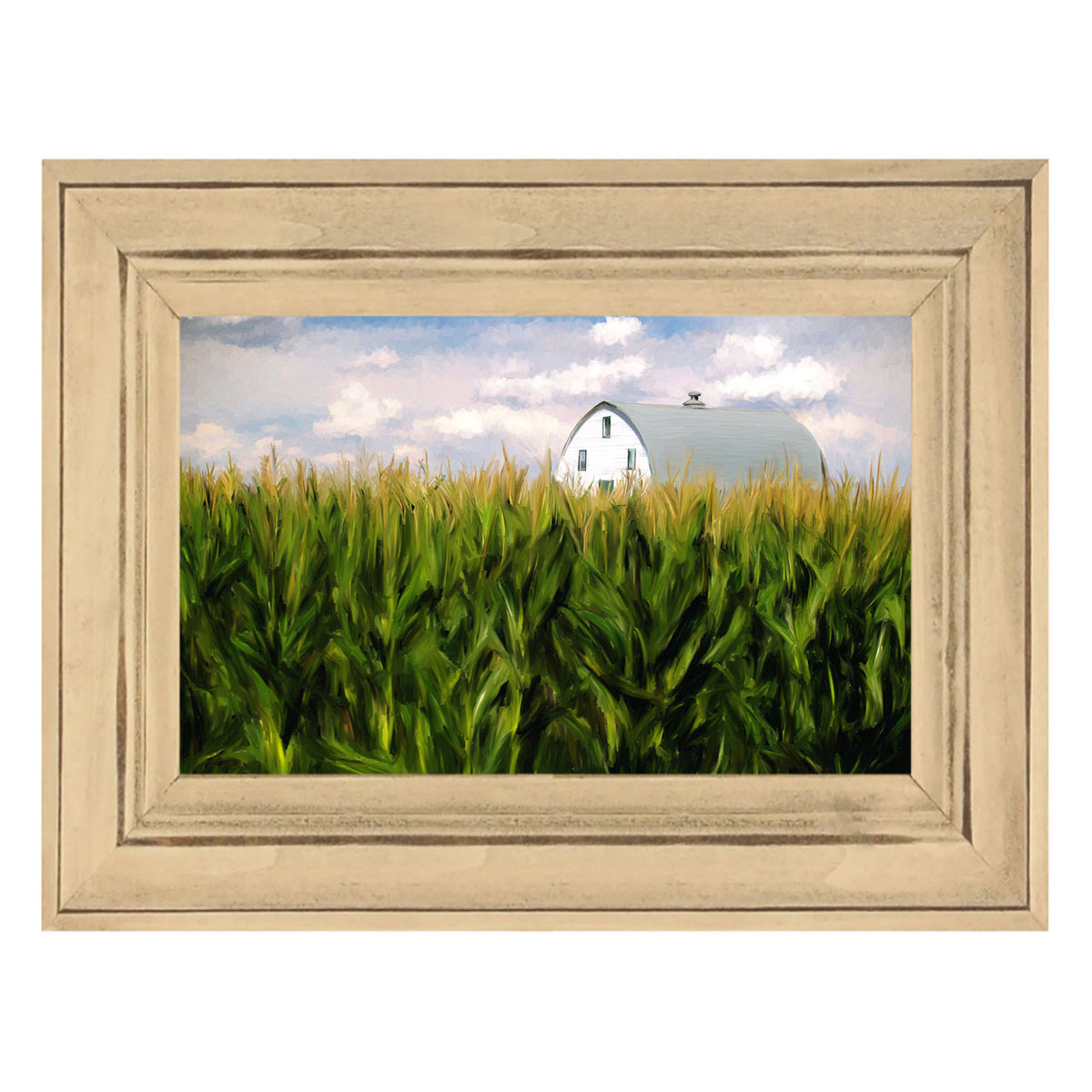 Corn Fields Barn