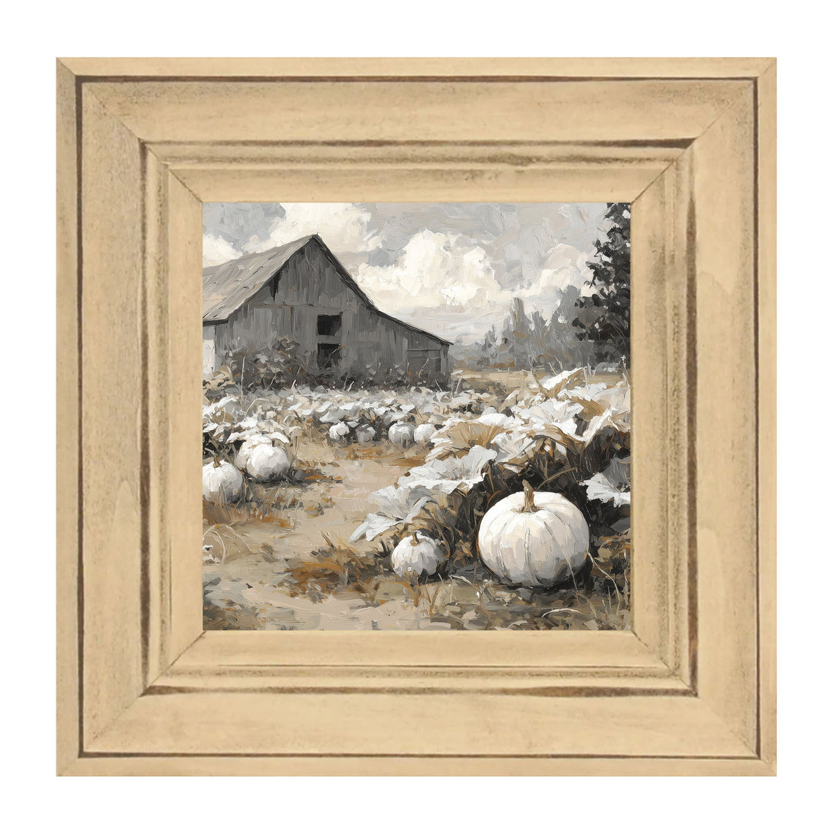 White Pumpkins in Field