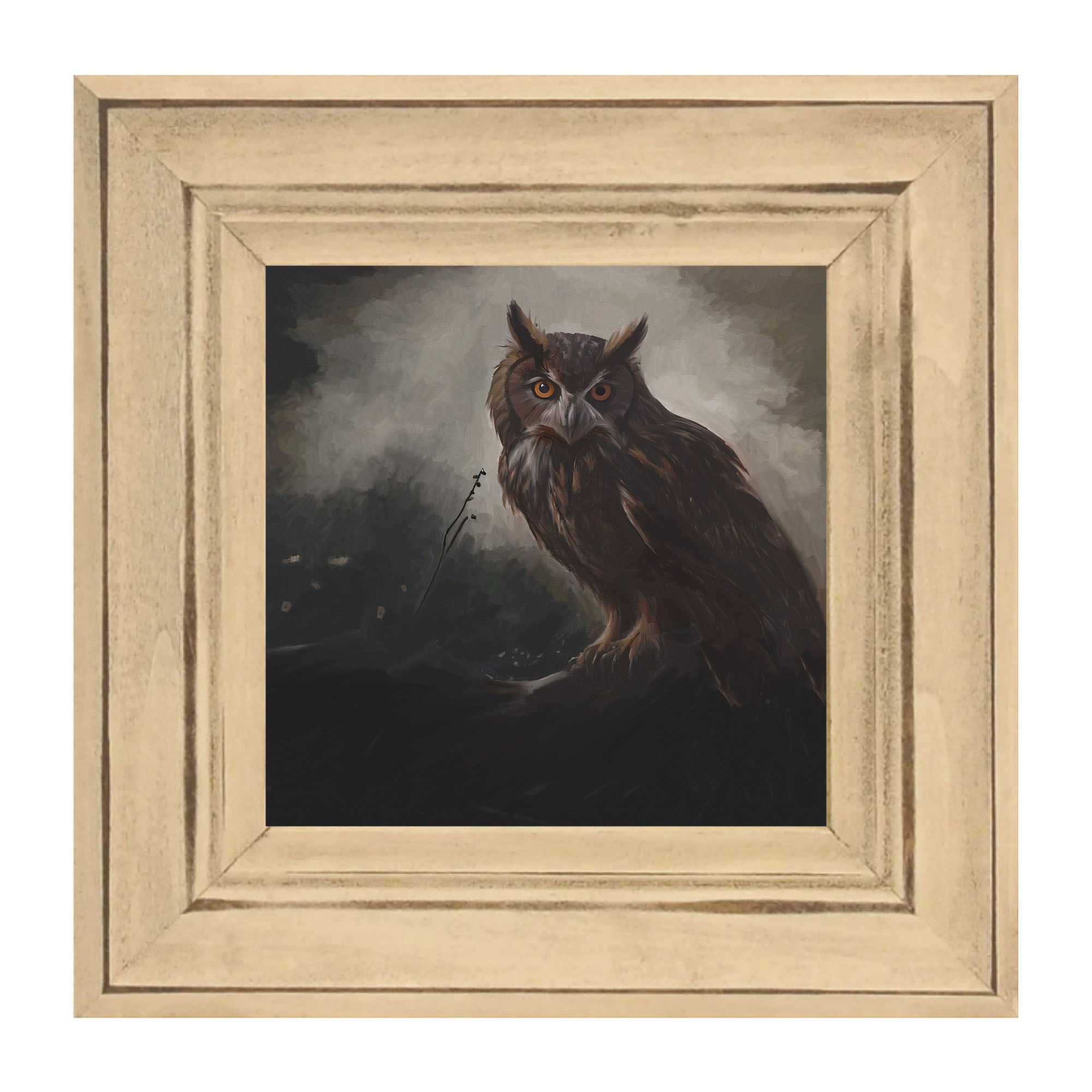 Night Owl