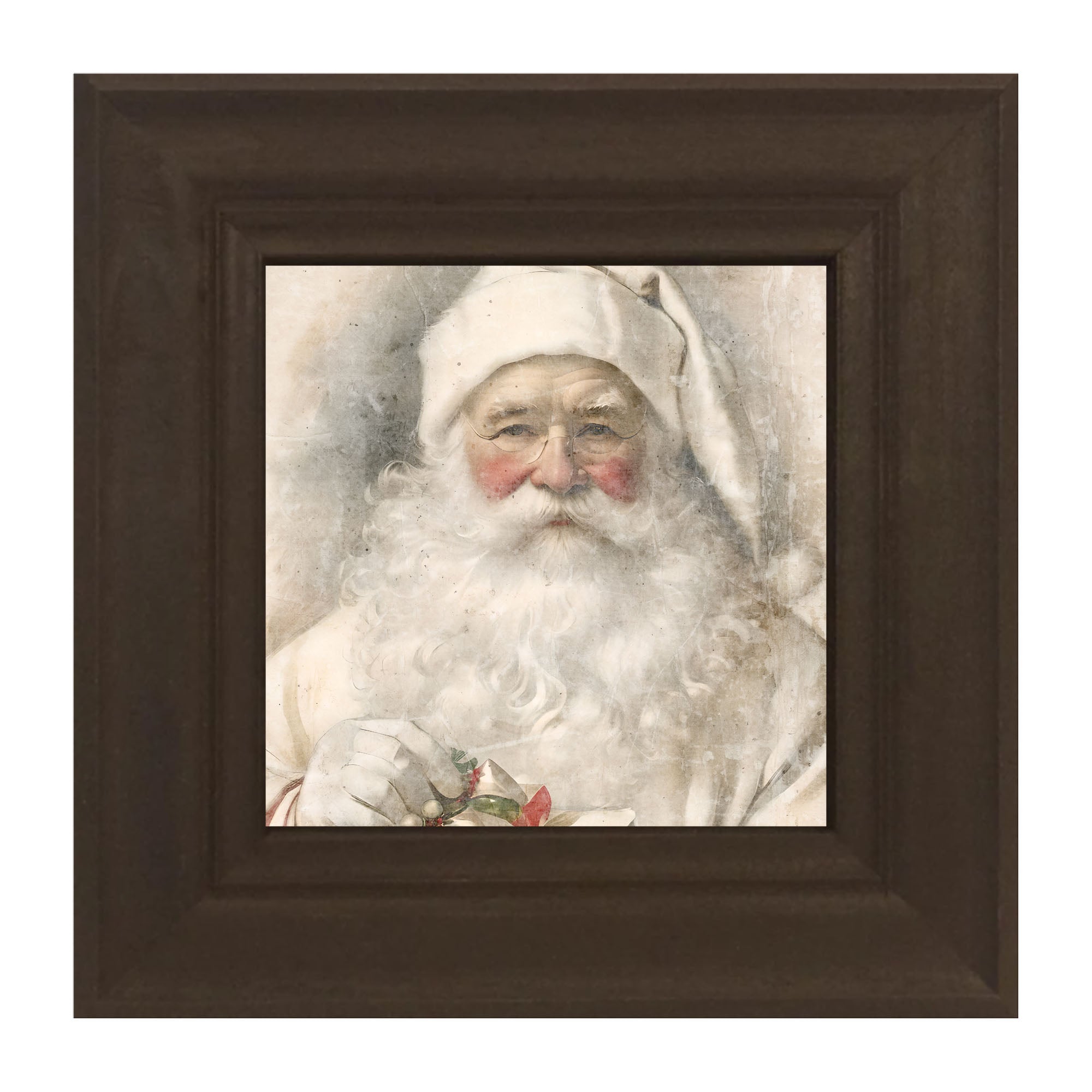 White Background Santa 9