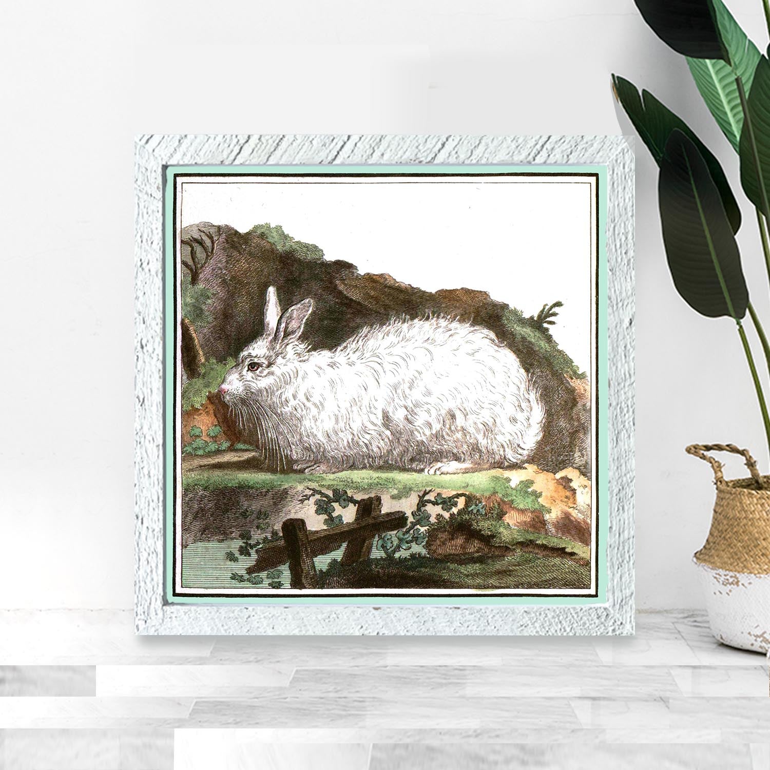 Vintage White Bunny