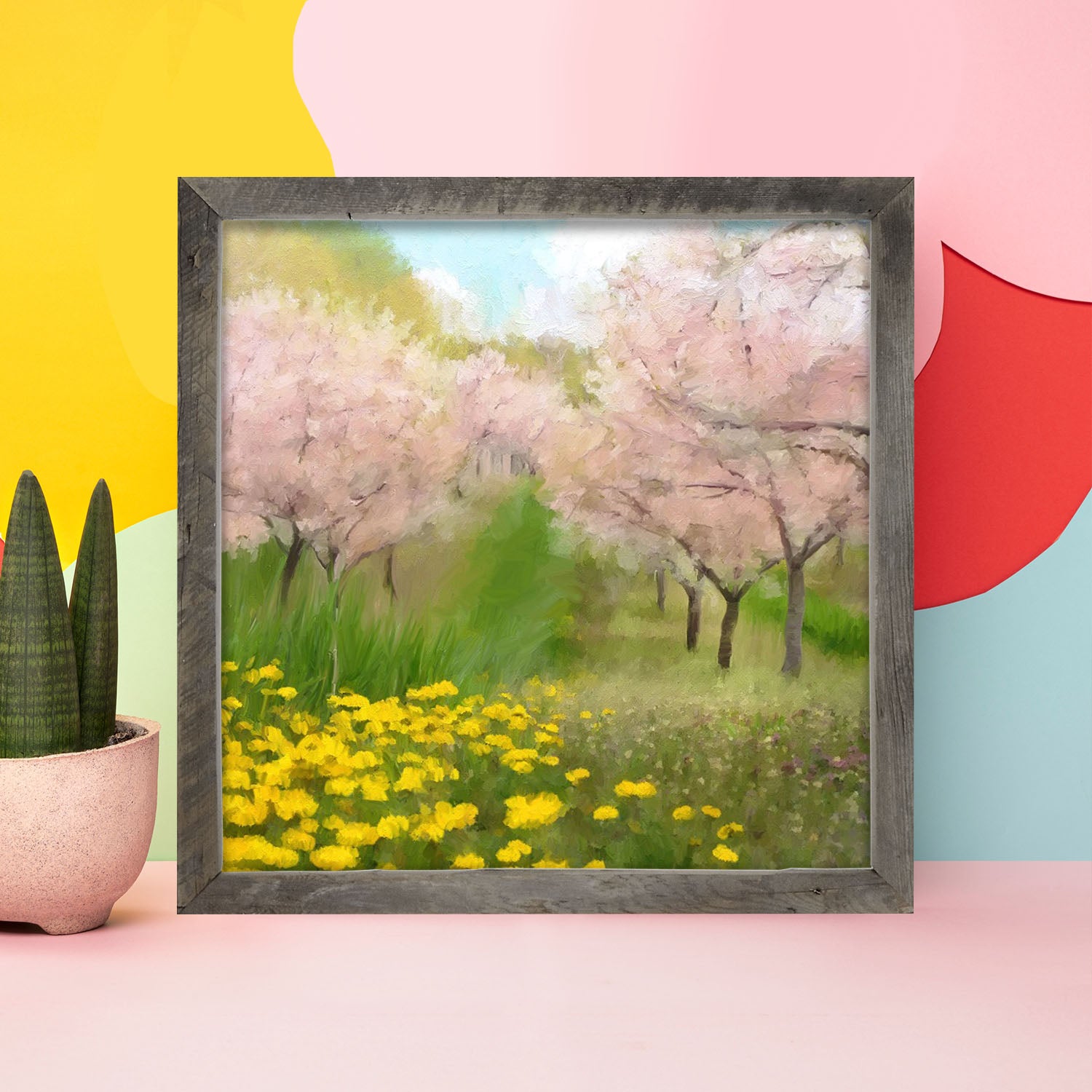 Cherry Blossoms in Bloom