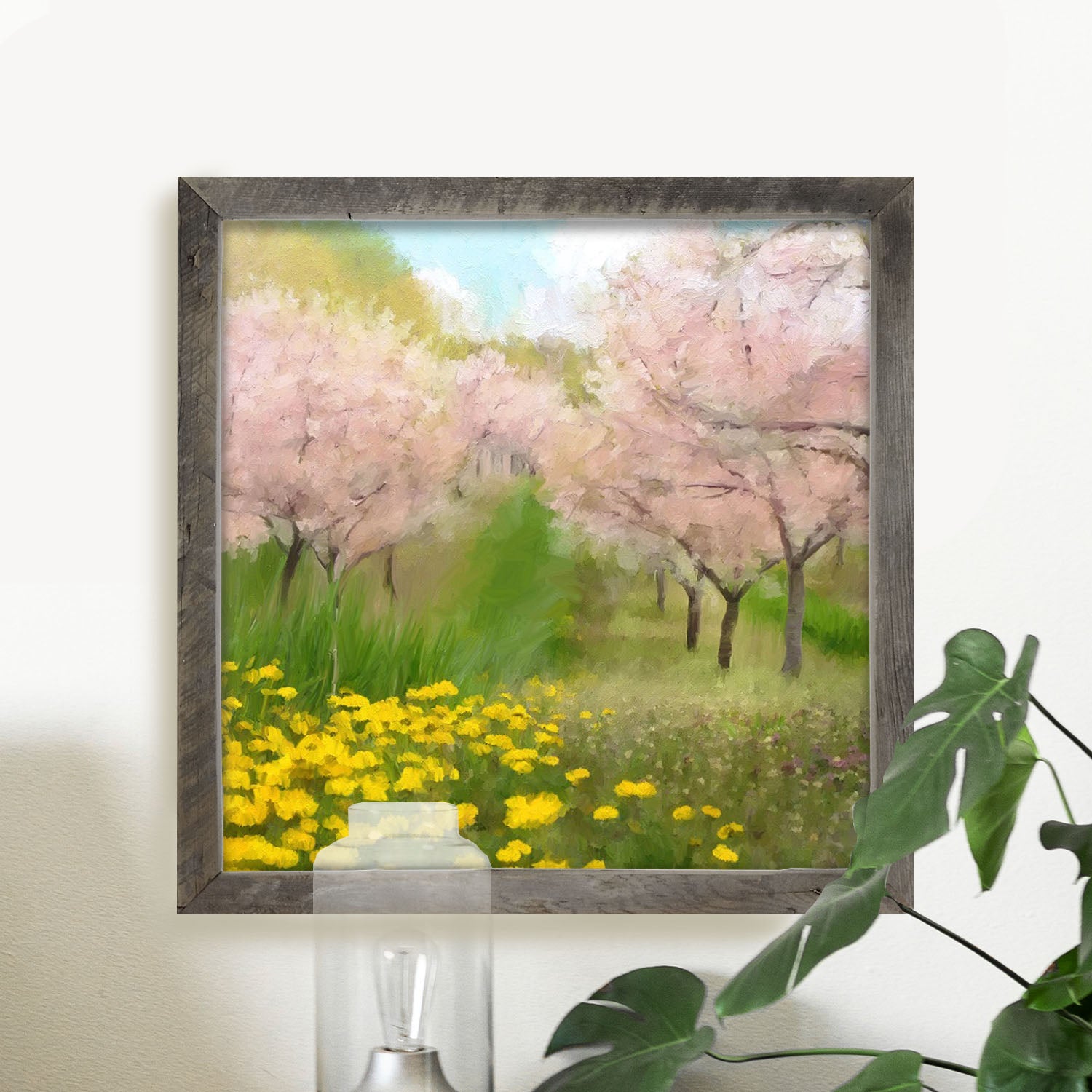 Cherry Blossoms in Bloom