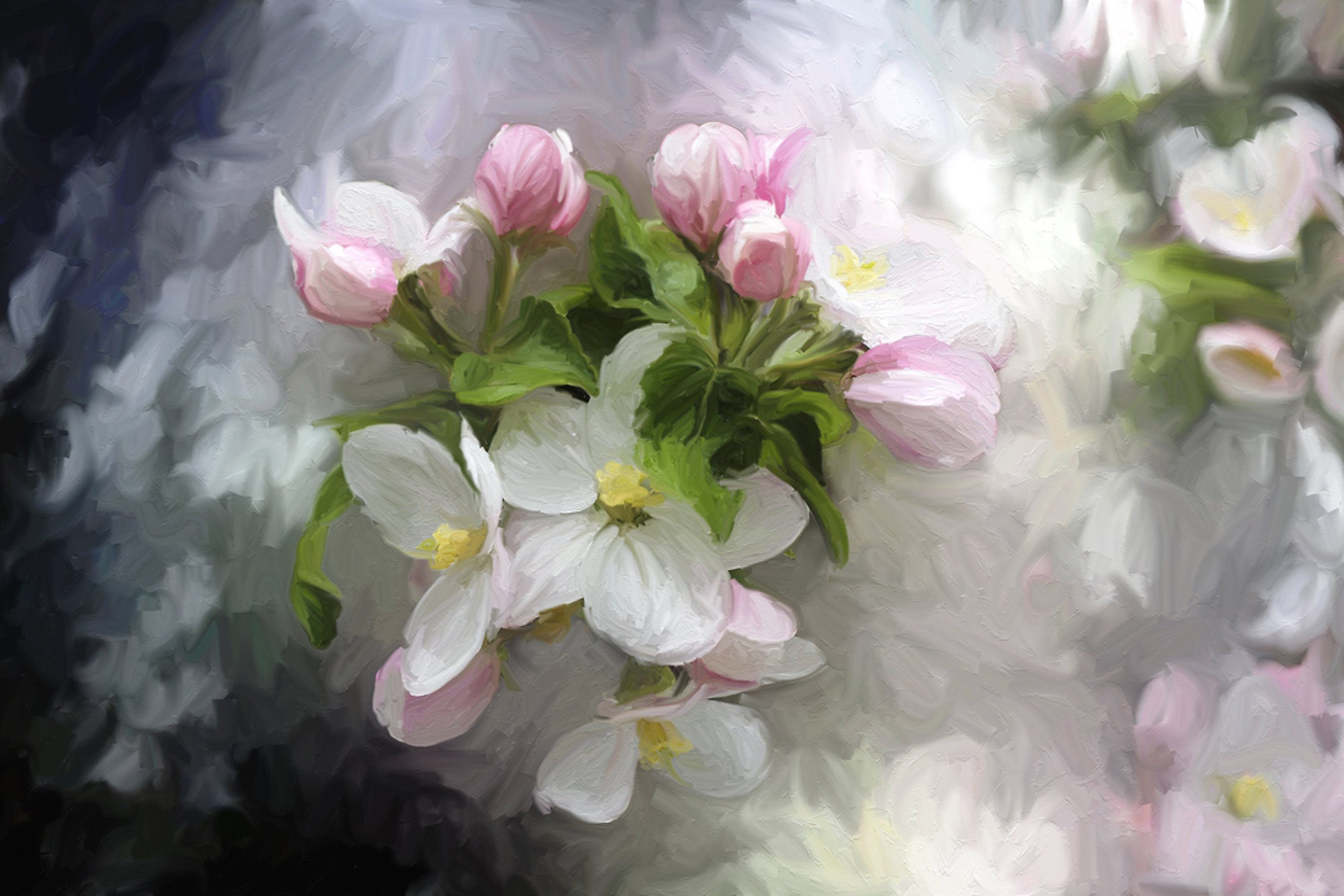 White and Pink Blooms