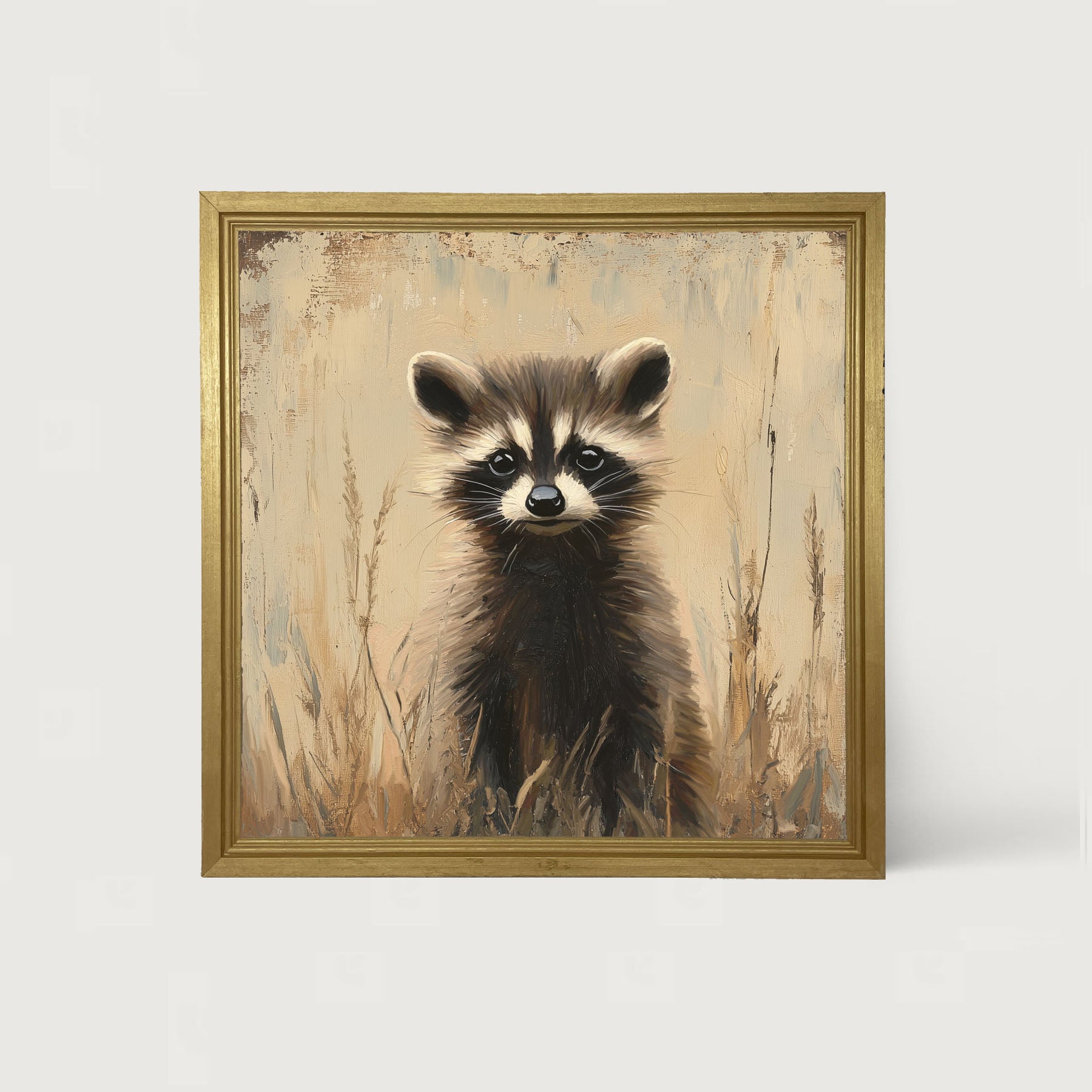 Baby Raccoon