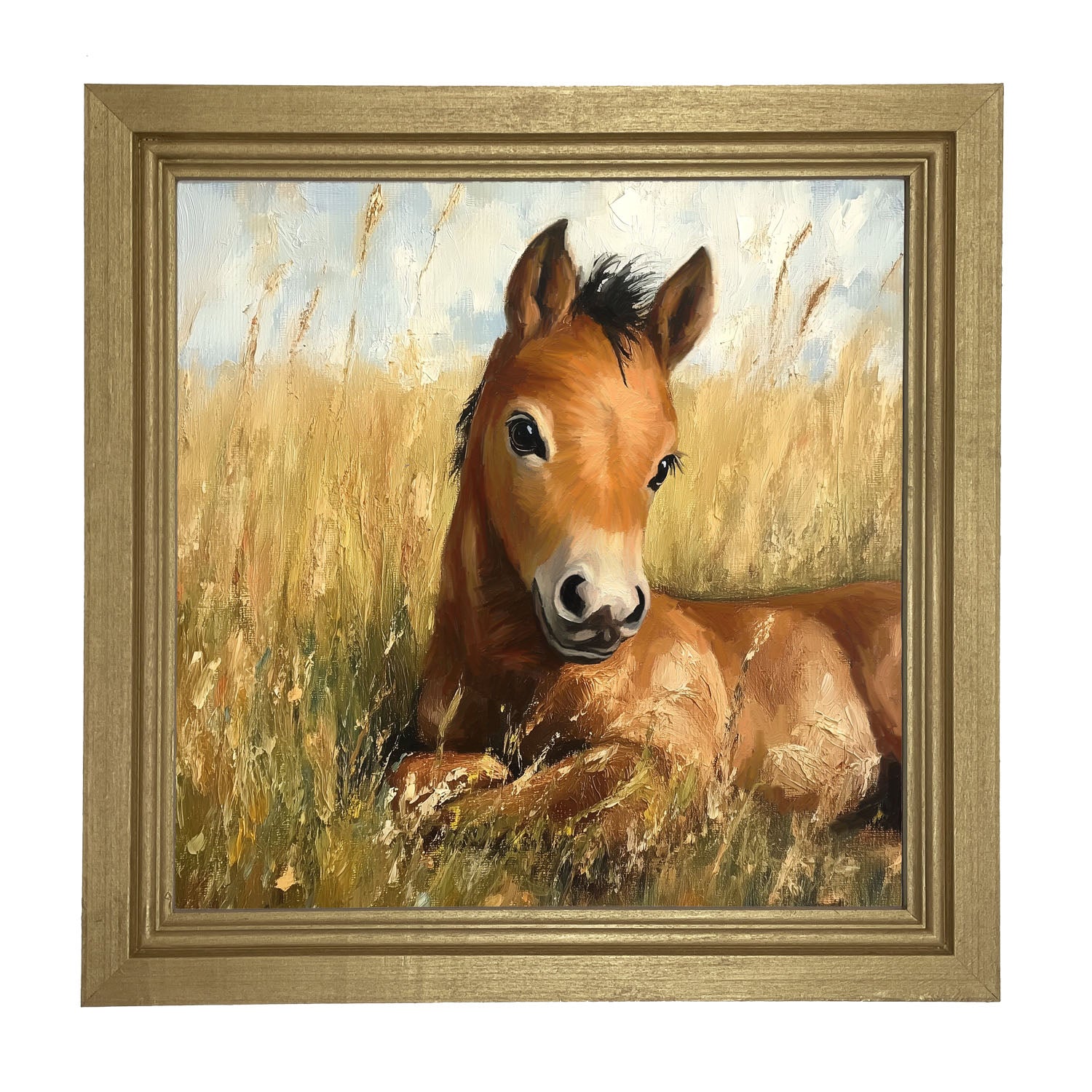 Baby Foal in a Meadow - Framed art