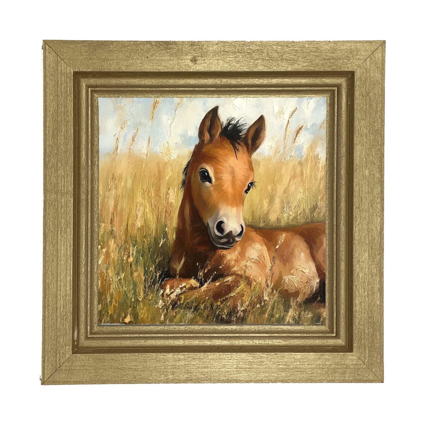Baby Foal in a Meadow - Framed art