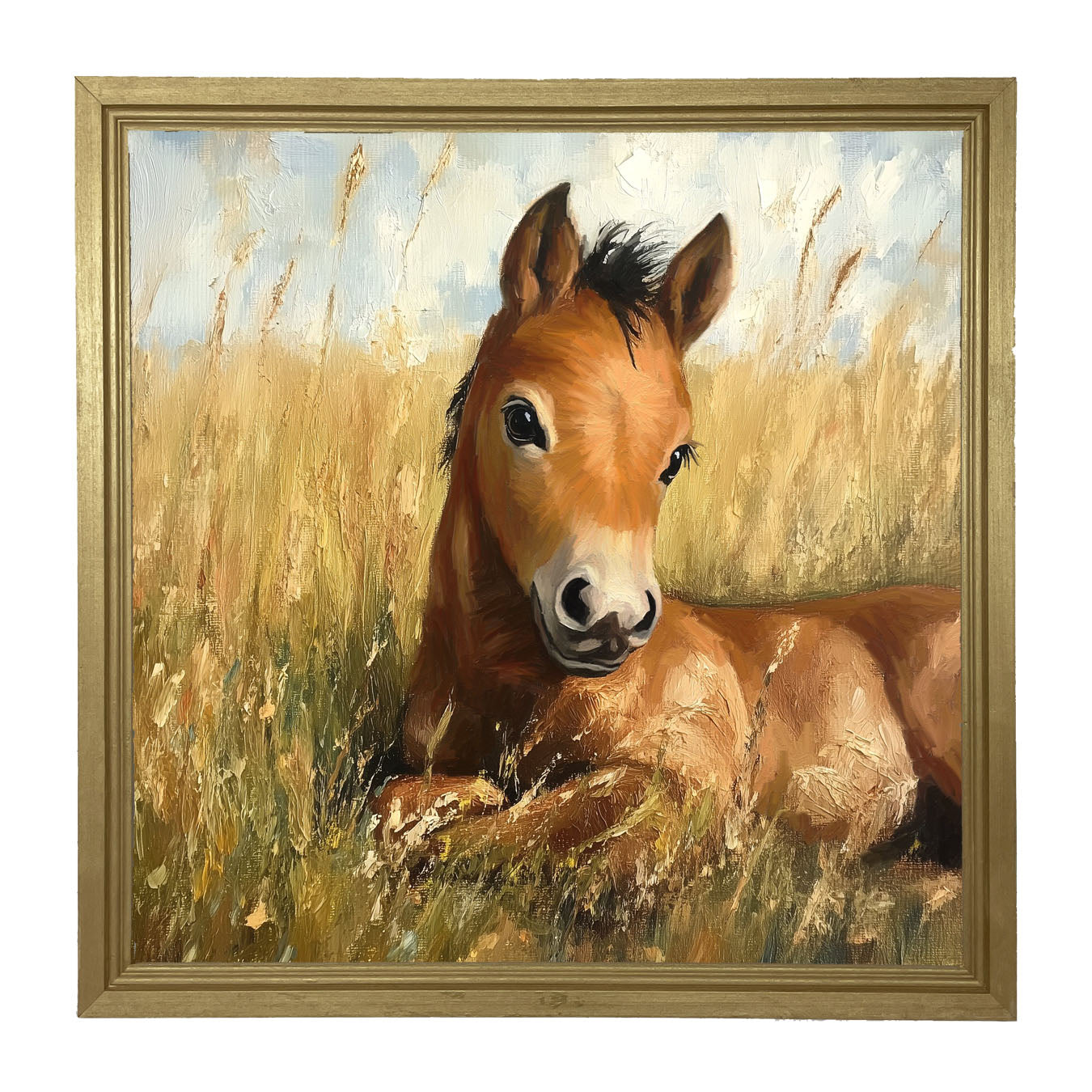 Baby Foal in a Meadow - Framed art