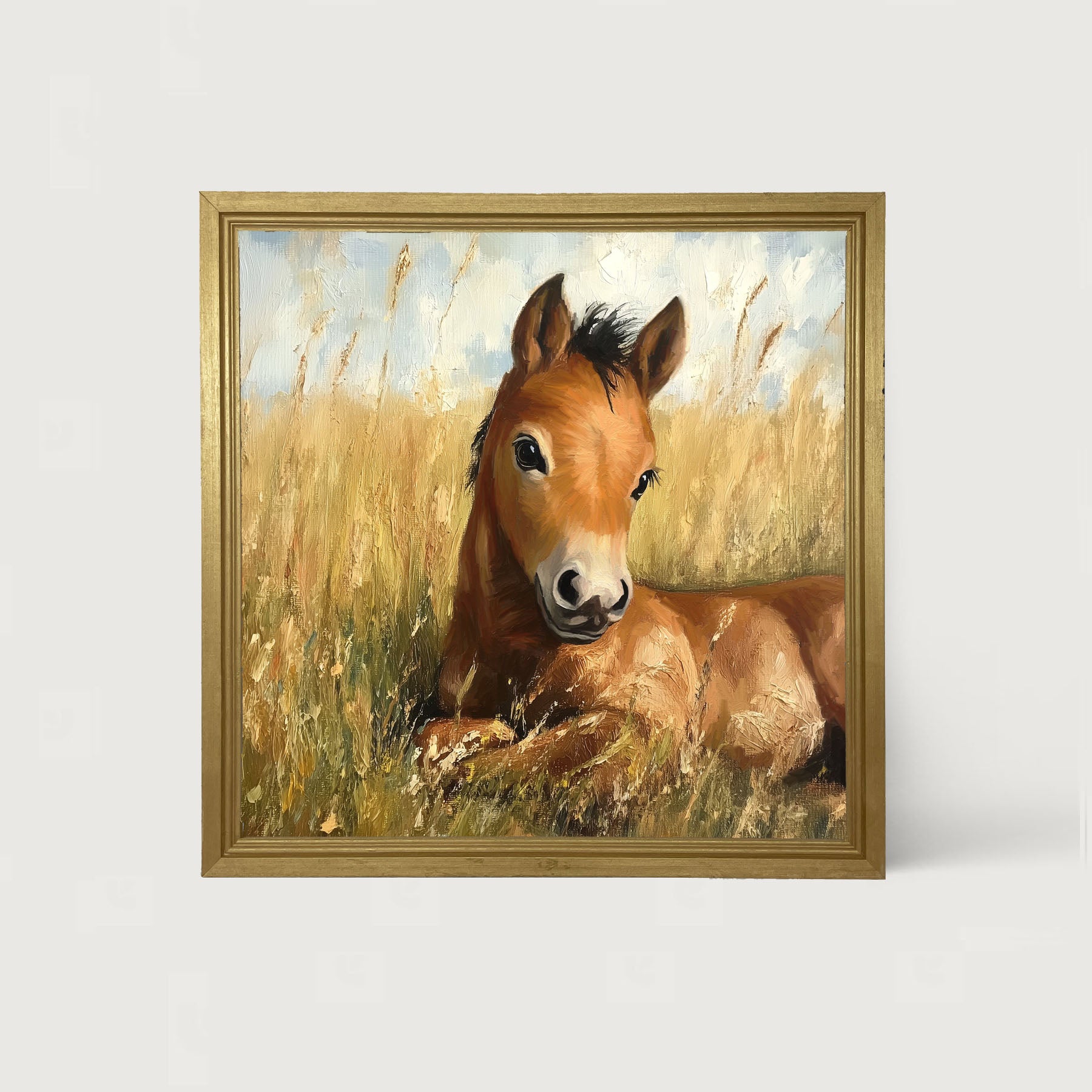 Baby Foal in a Meadow
