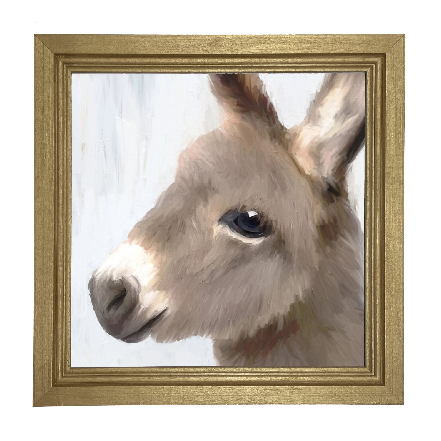 Baby Donkey - Framed art