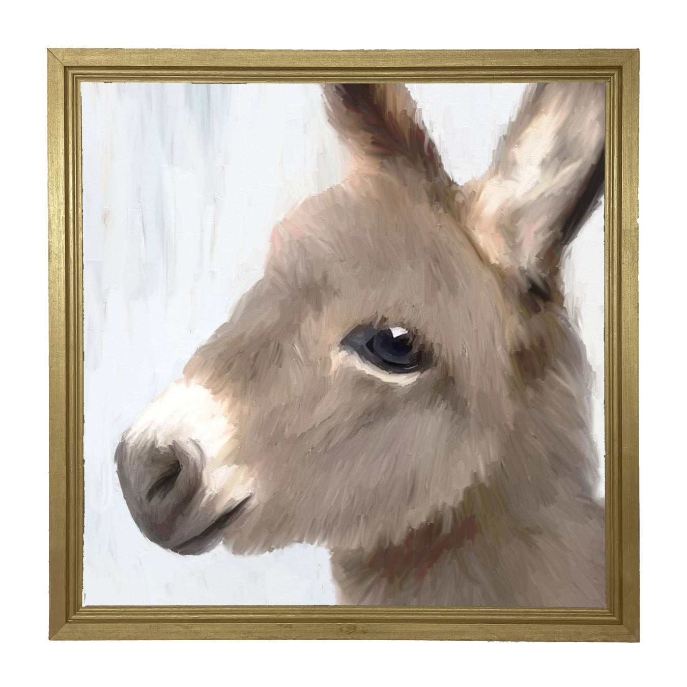 Baby Donkey - Framed art