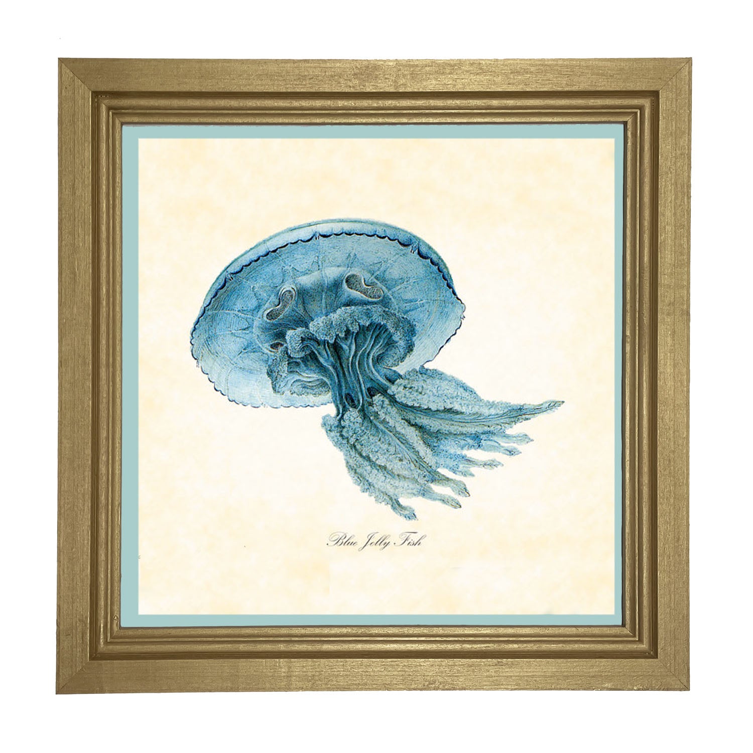 Blue Jelly Fish - Framed art