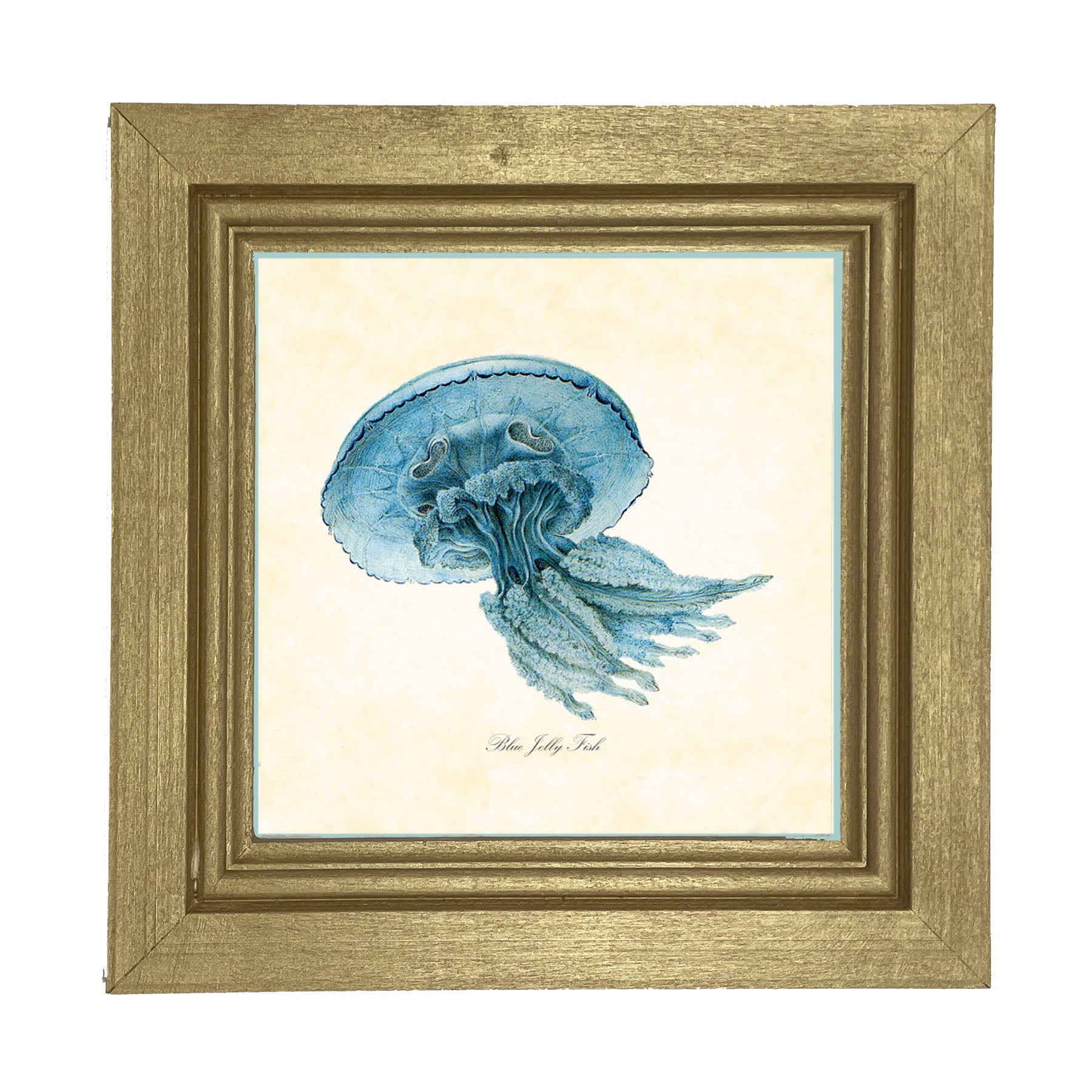Blue Jelly Fish - Framed art