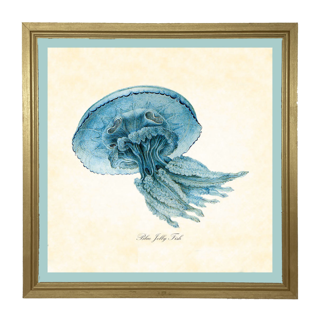 Blue Jelly Fish - Framed art
