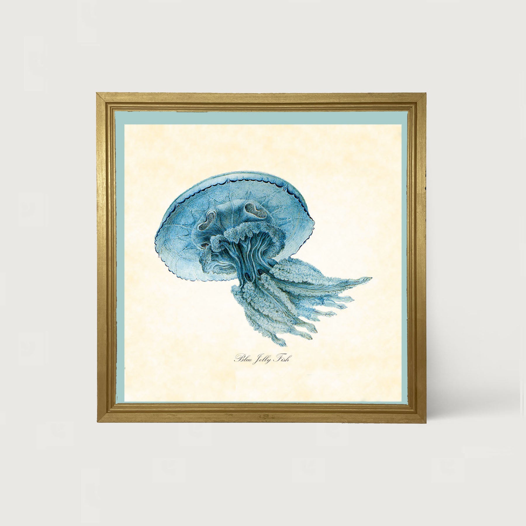 Blue Jelly Fish - Framed art