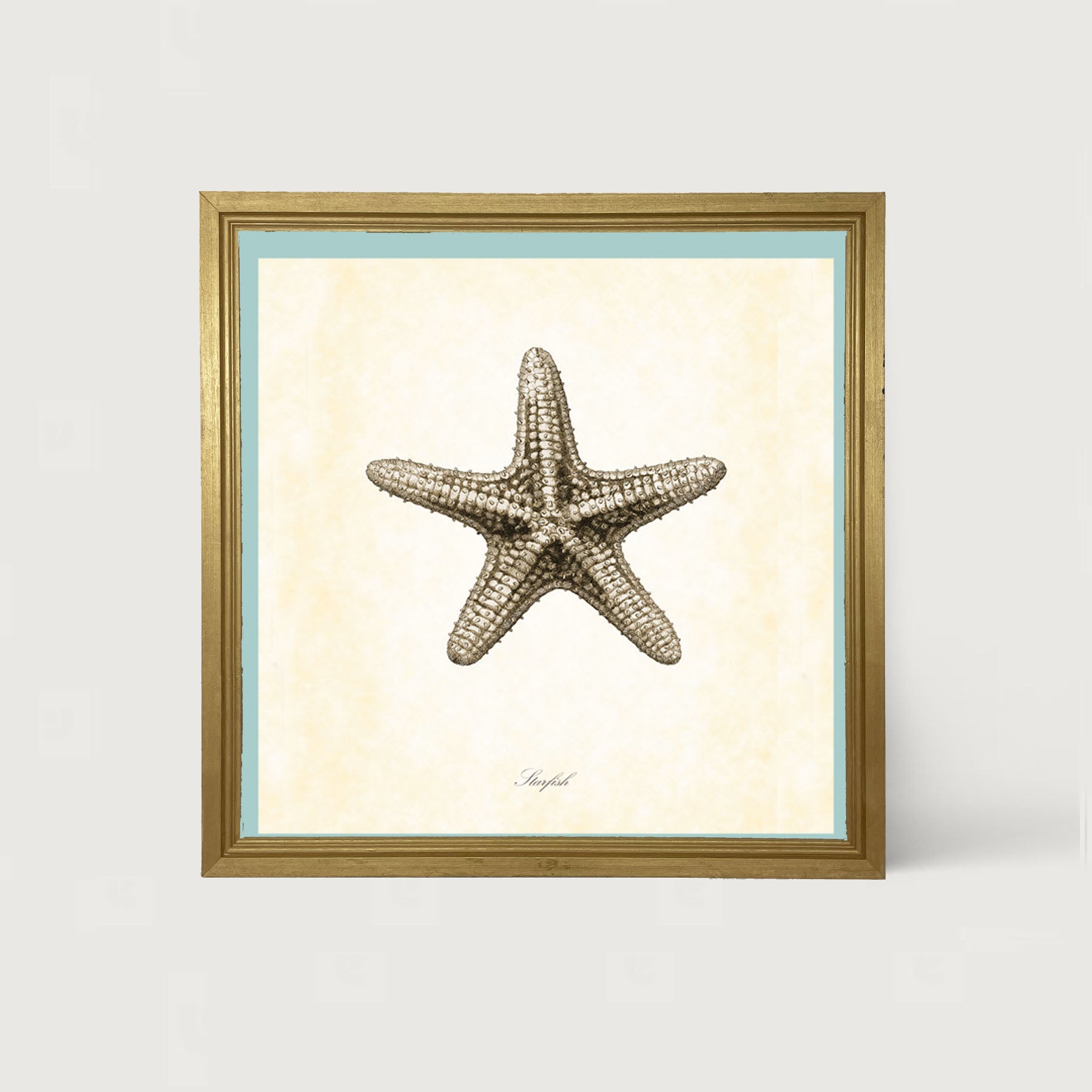 Gray Starfish - Framed art