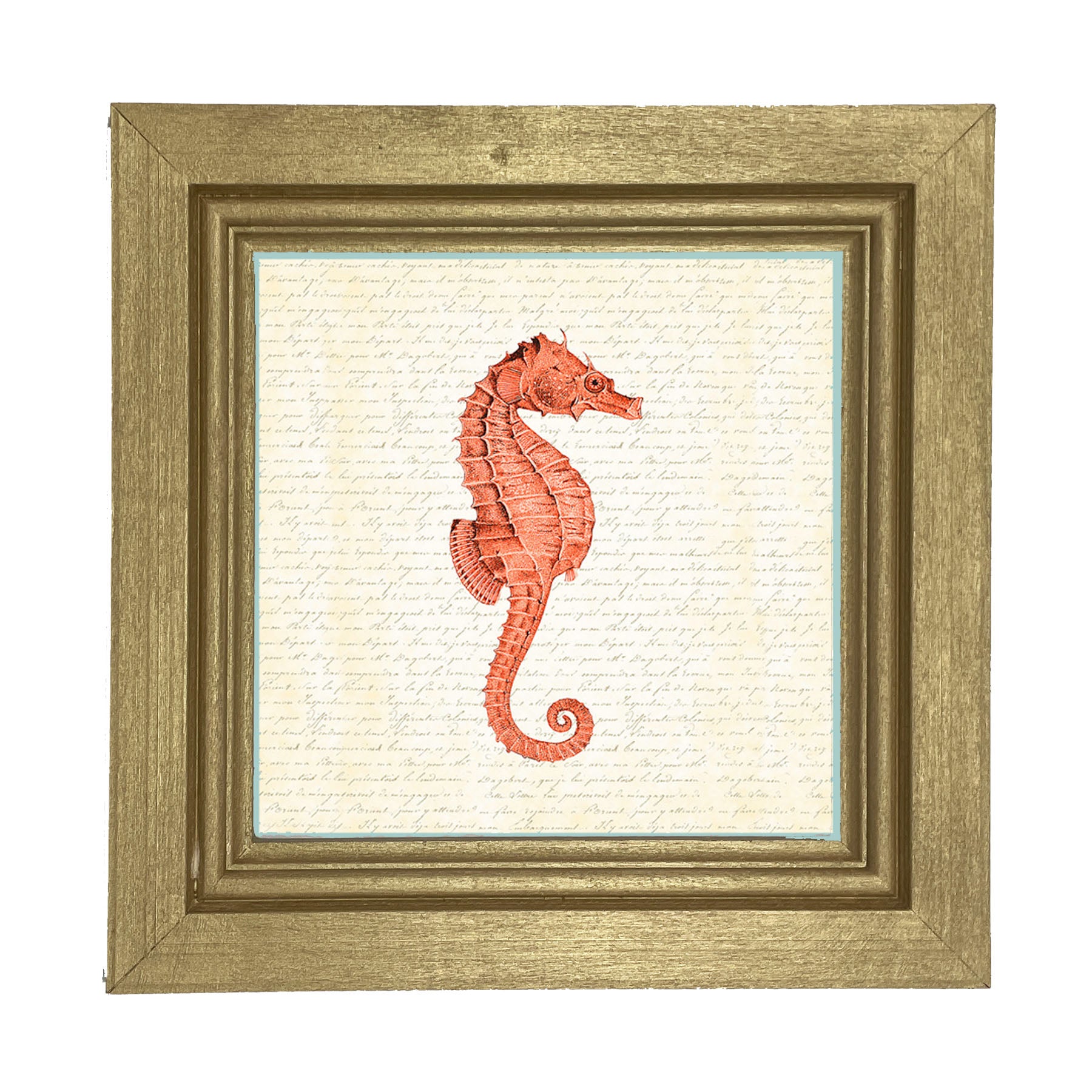 Coral Seahorse - Framed art