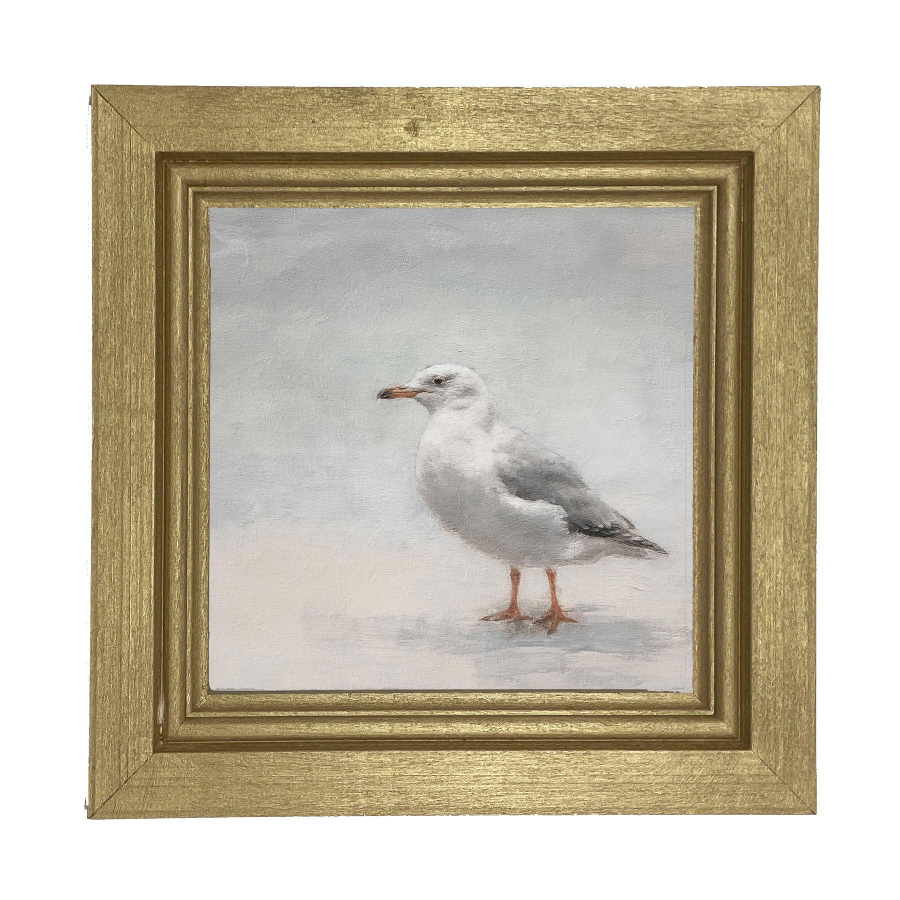 Seagull - Framed art