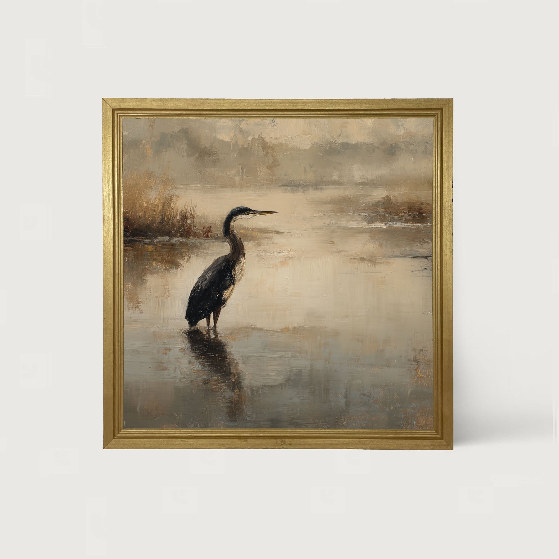 Pelican in the Water