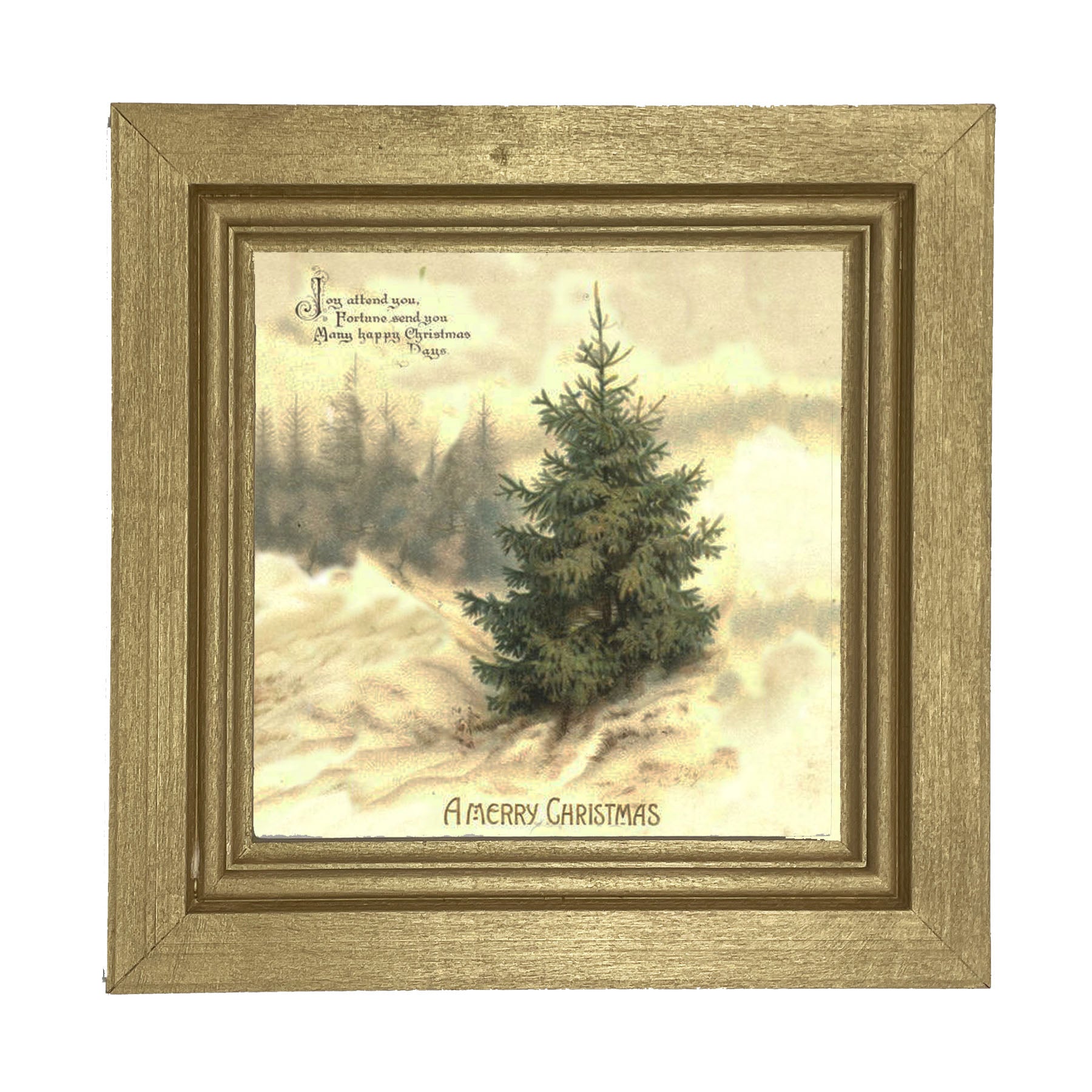Winter Tree (Joy Attend You) - Framed art