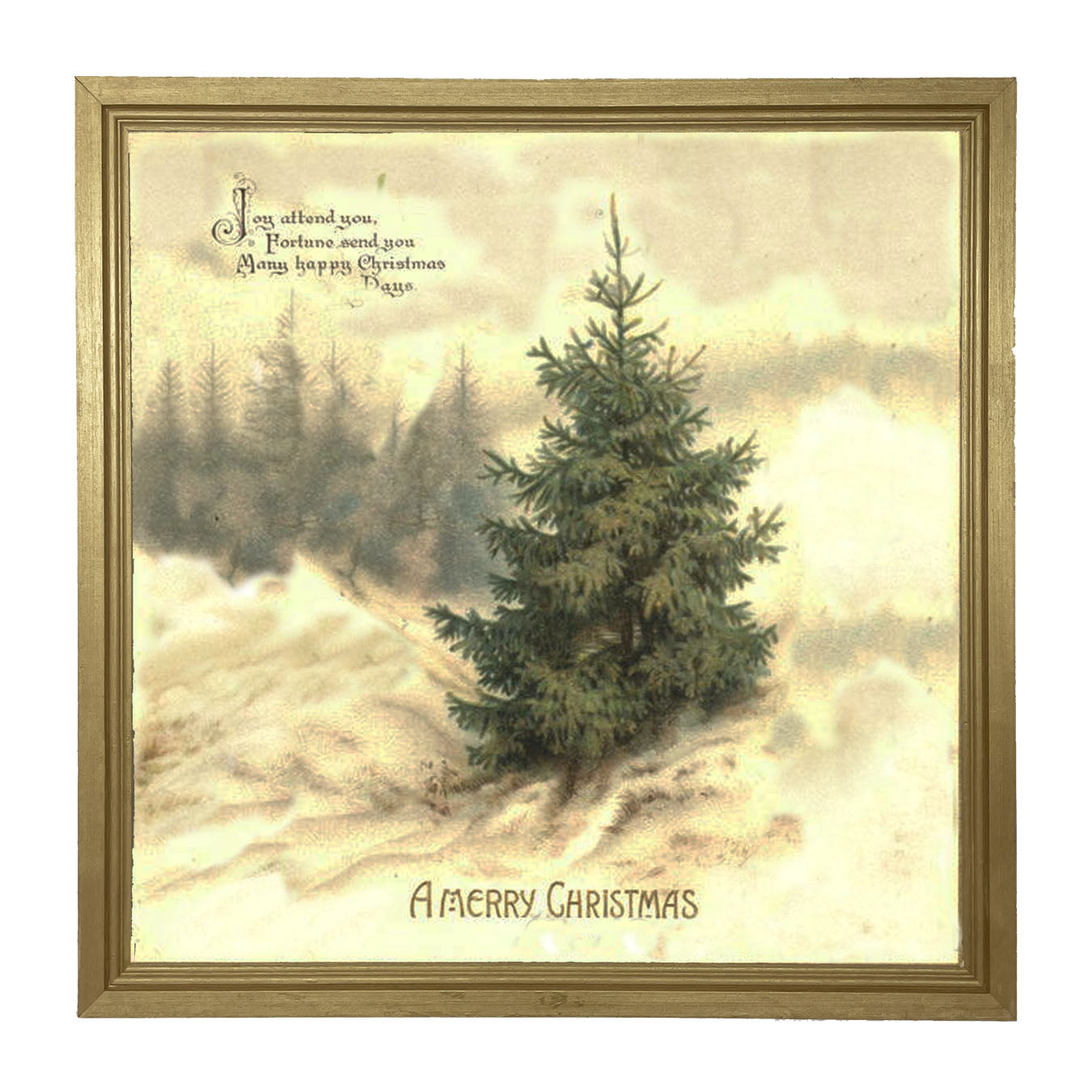 Winter Tree (Joy Attend You) - Framed art