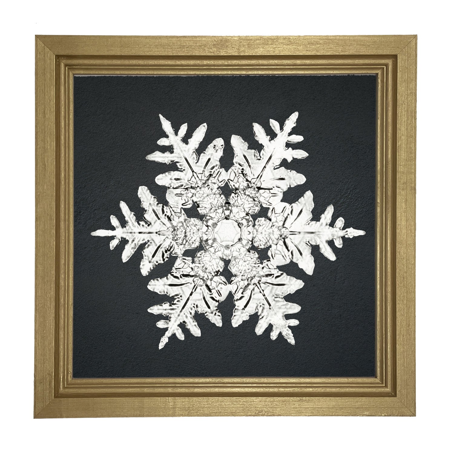 Snowflake-A - Framed art