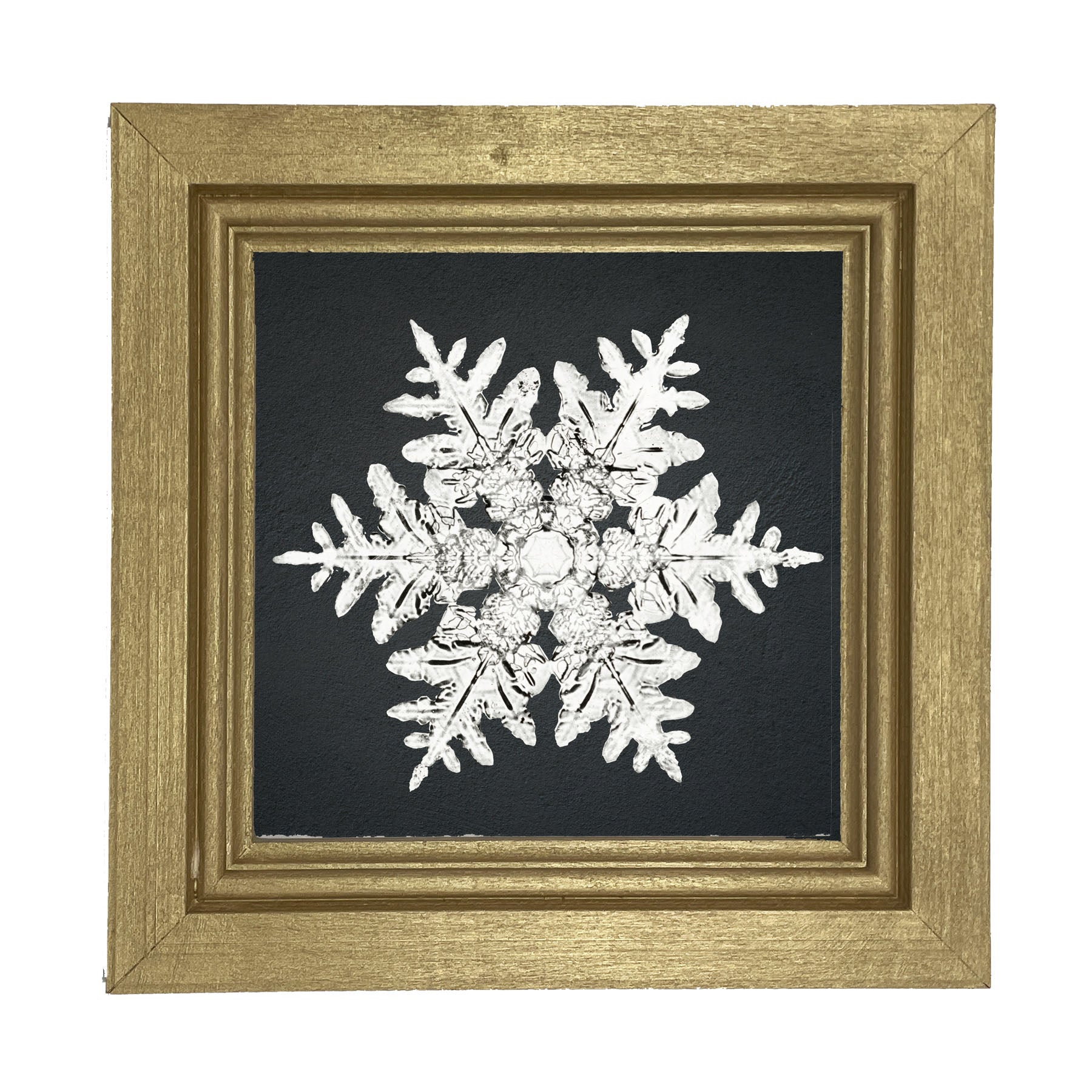 Snowflake-A - Framed art