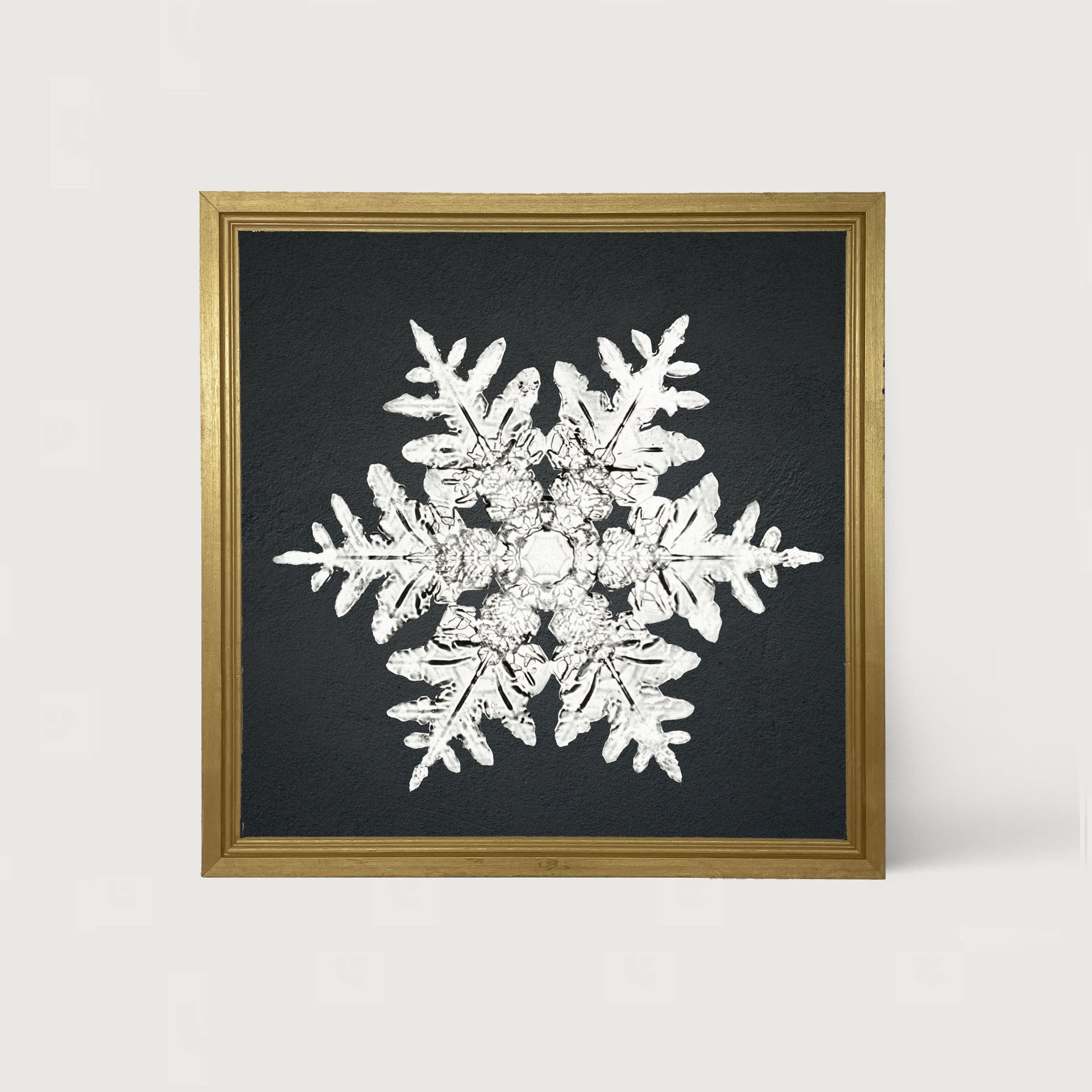 Snowflake-A - Framed art