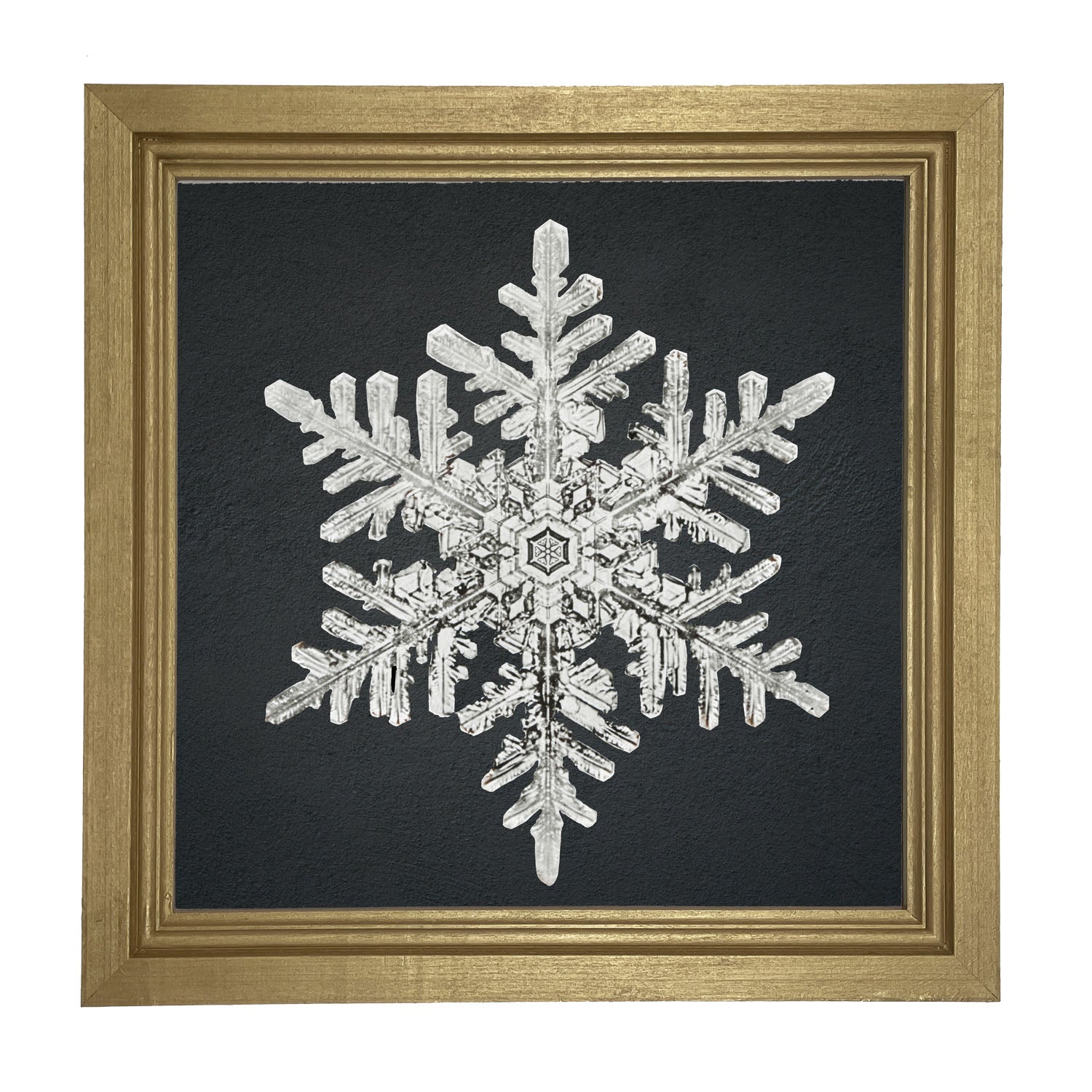 Snowflake-B - Framed art