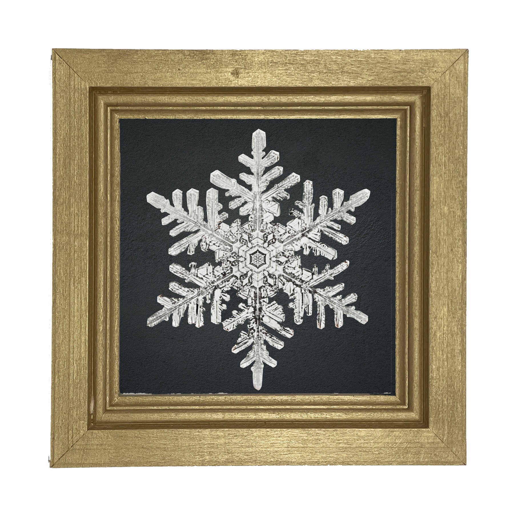 Snowflake-B - Framed art