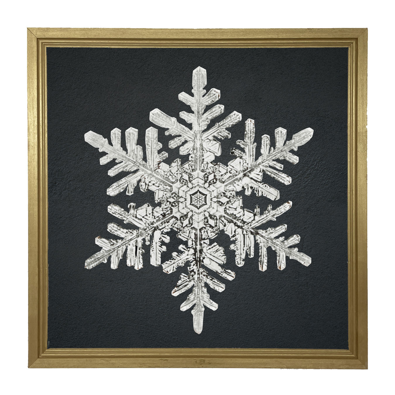 Snowflake-B - Framed art