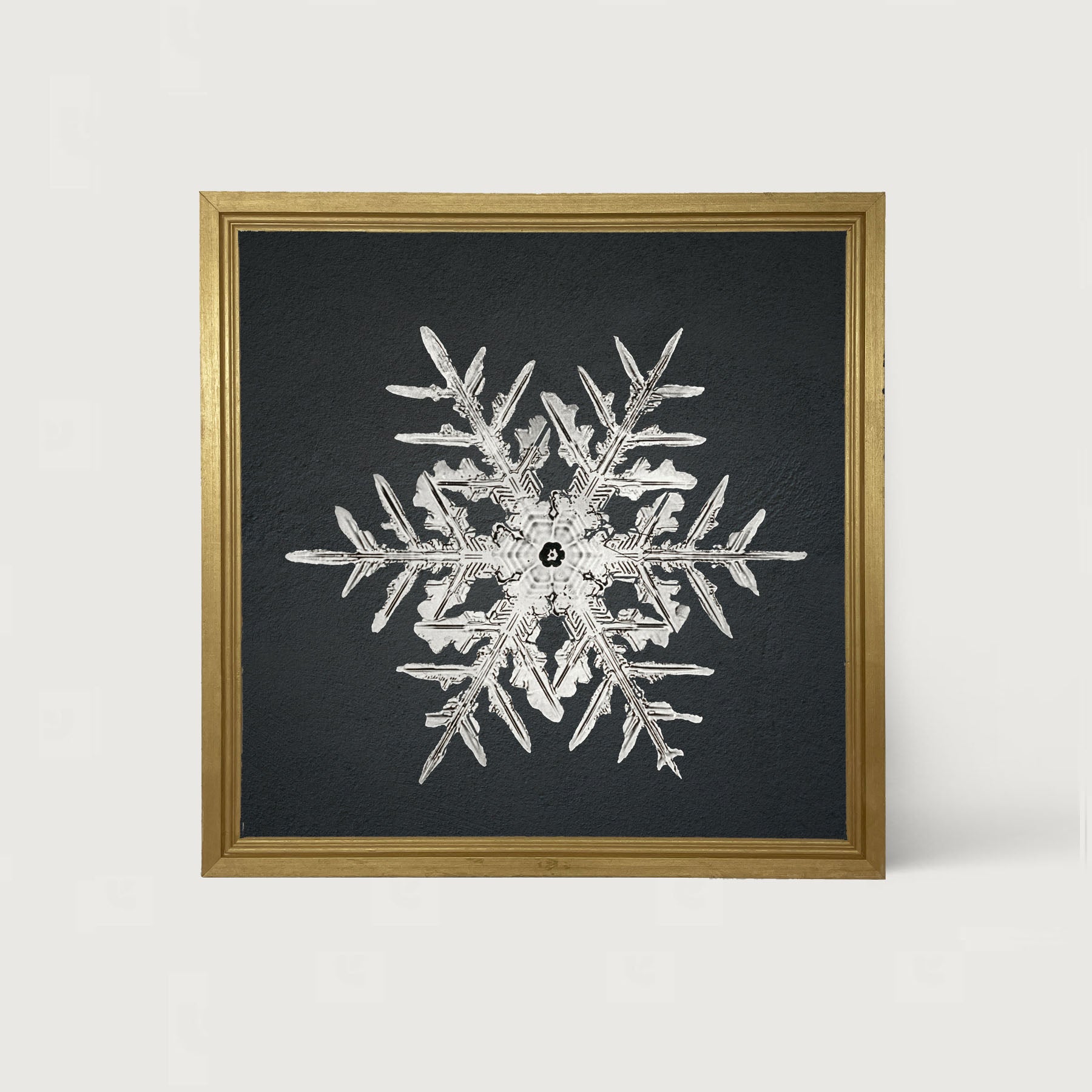 Snowflake-C - Framed art
