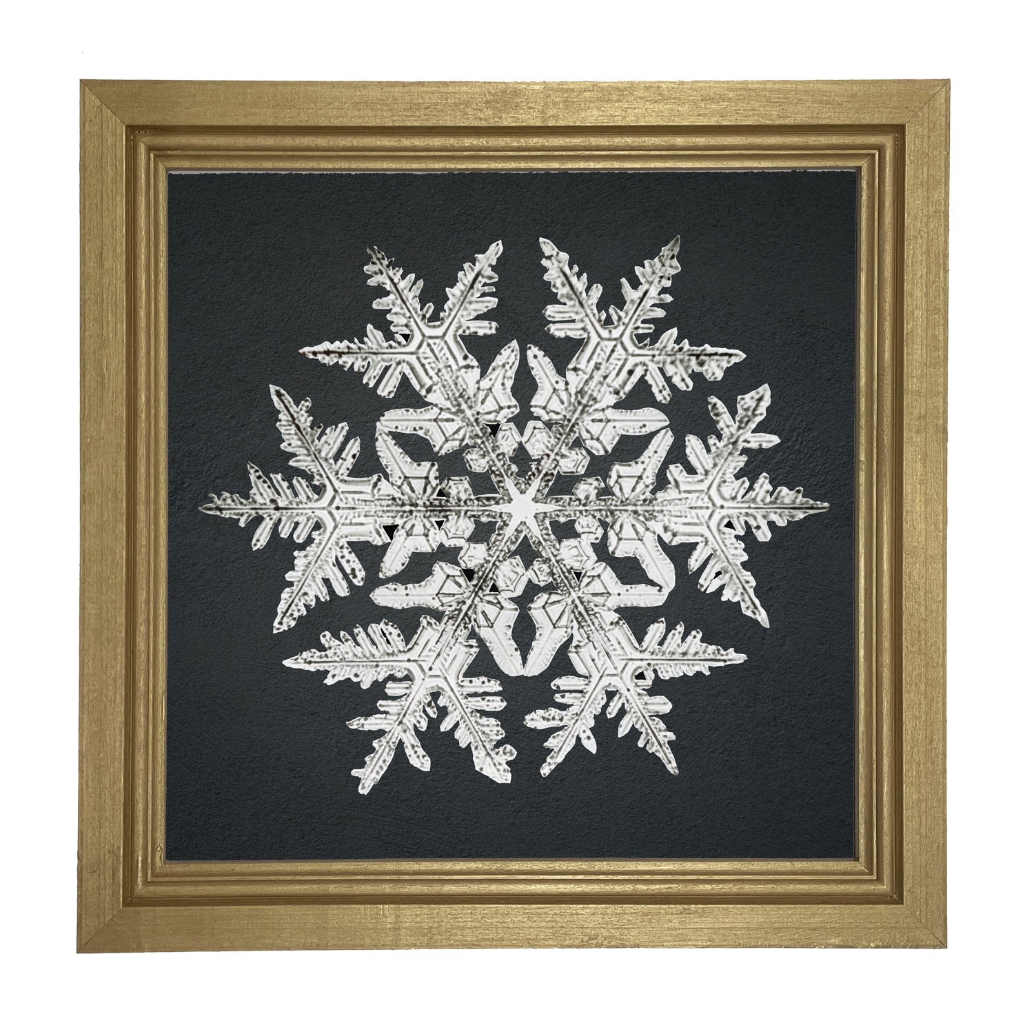 Snowflake-D - Framed art