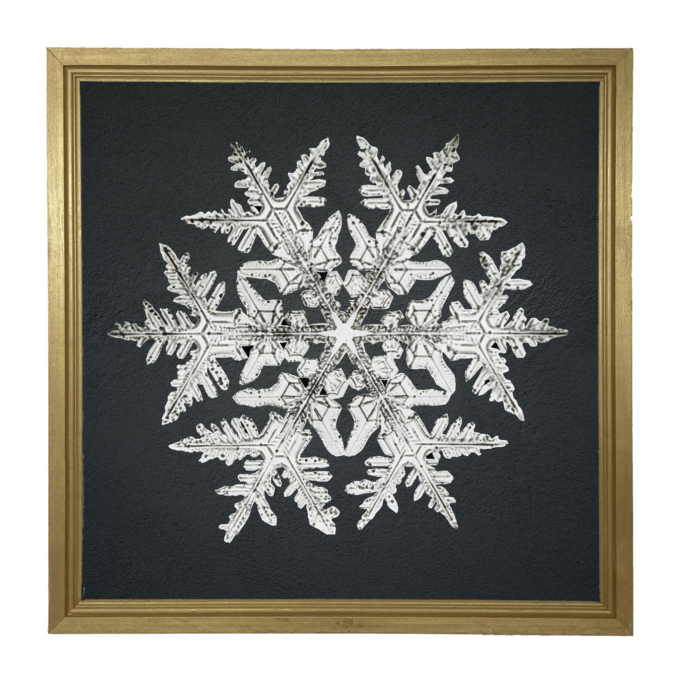 Snowflake-D - Framed art