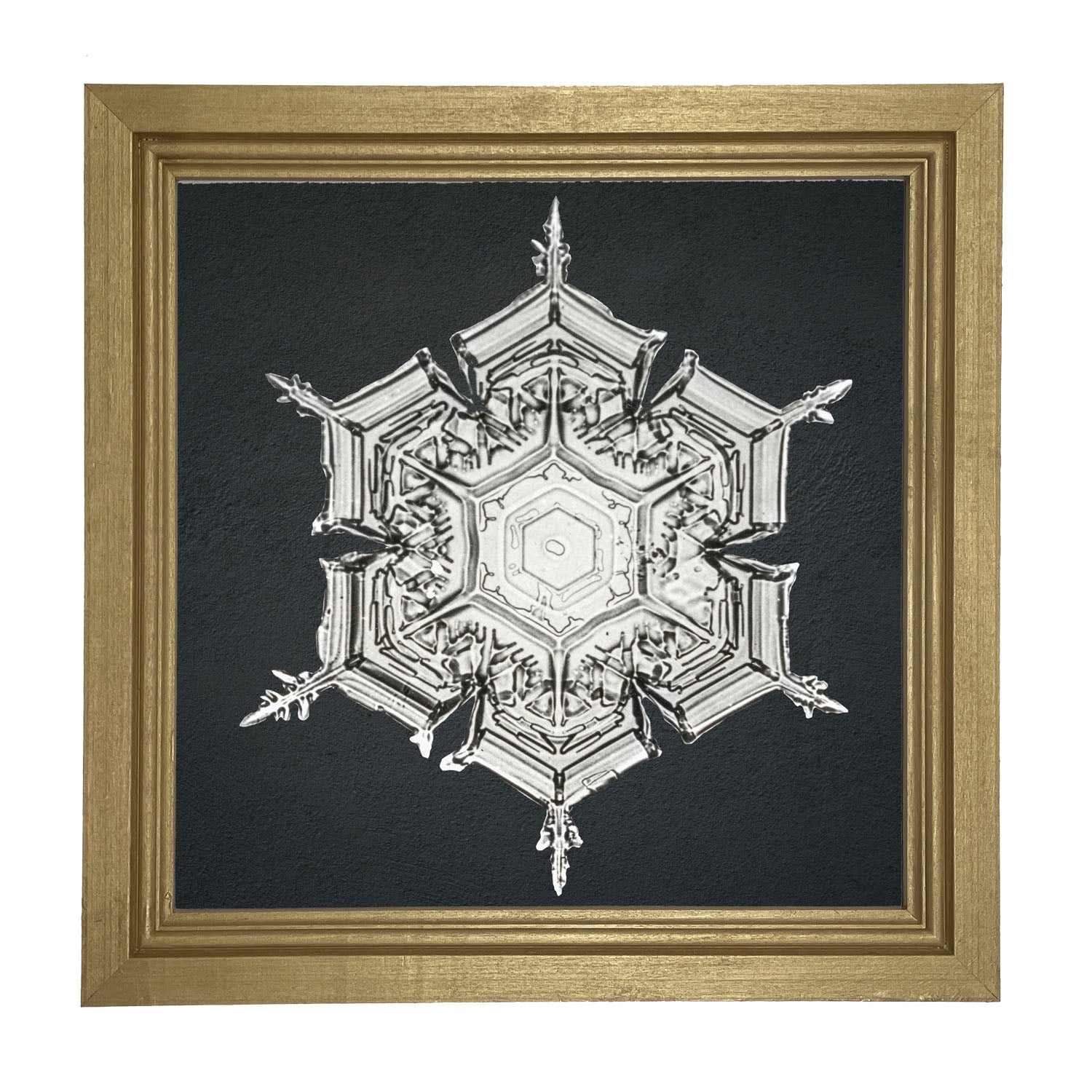 Snowflake-E - Framed art