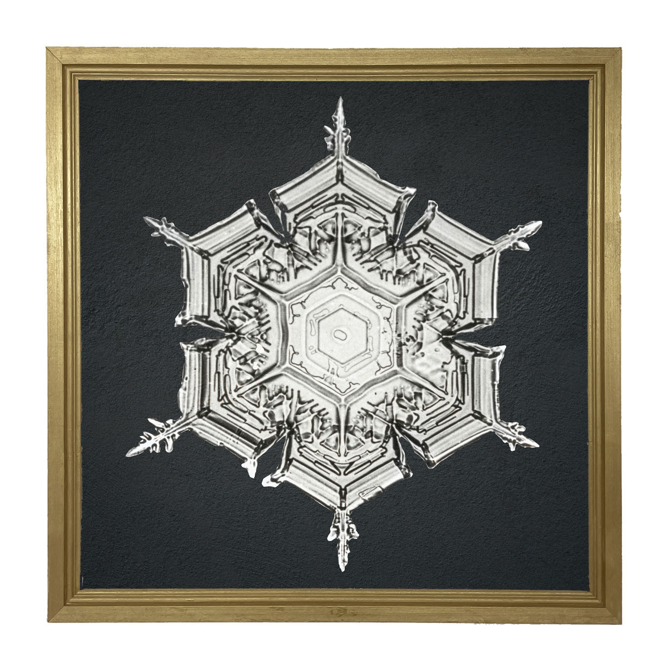 Snowflake-E - Framed art