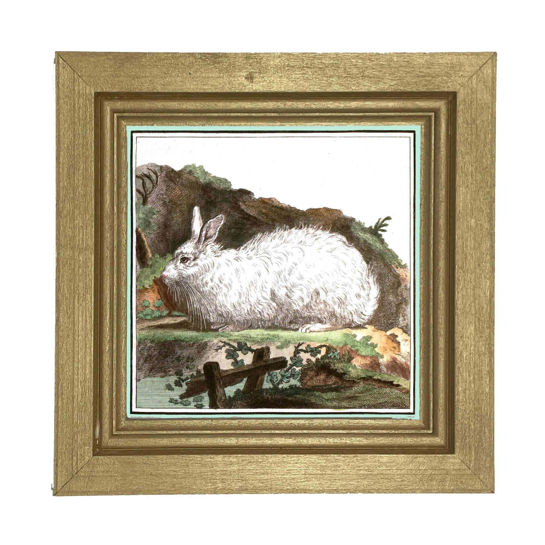 Vintage White Bunny - Framed art