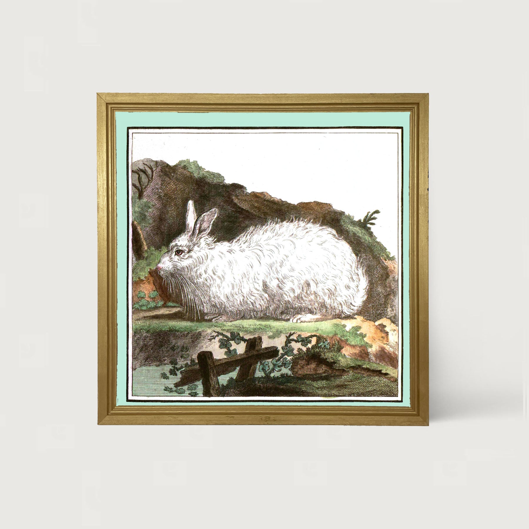 Vintage White Bunny - Framed art