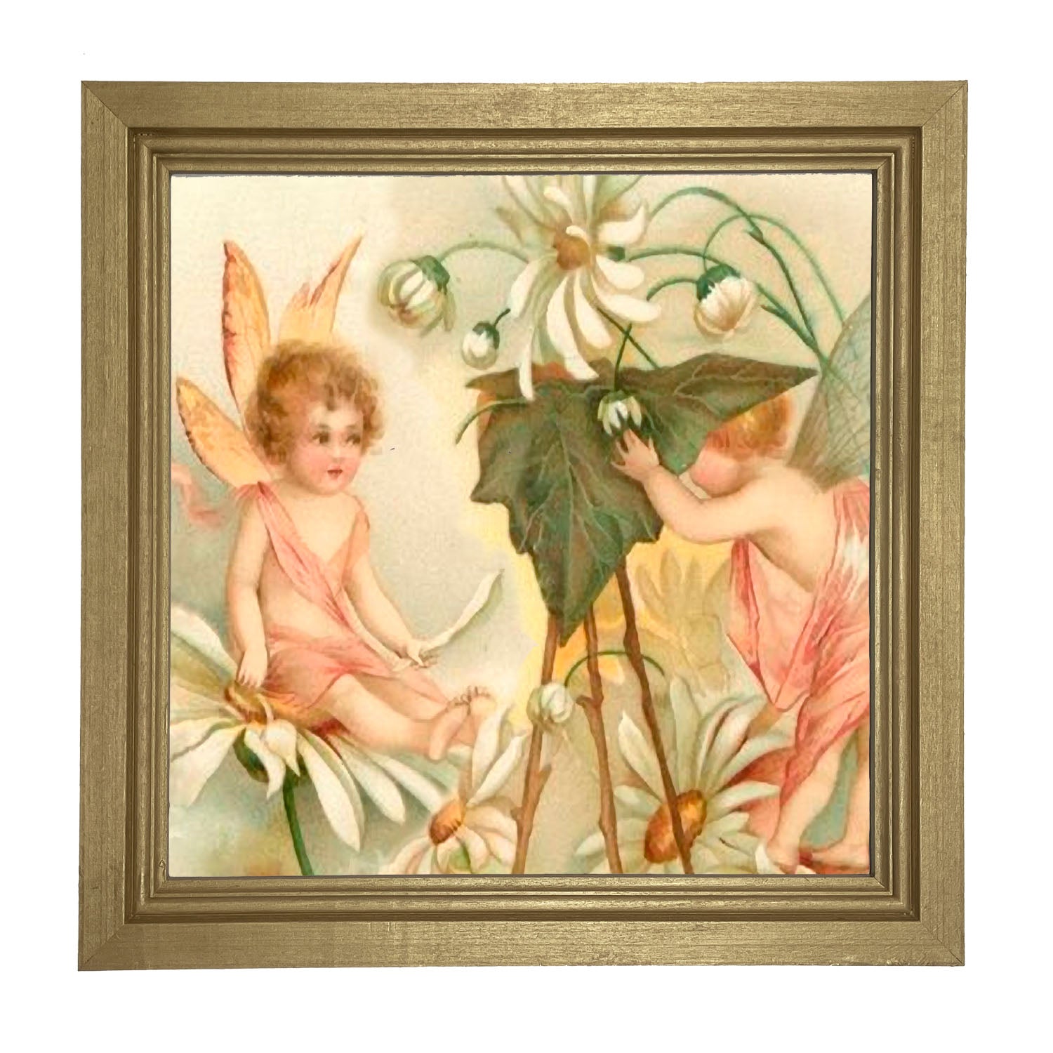 Fairy Photo - Framed art