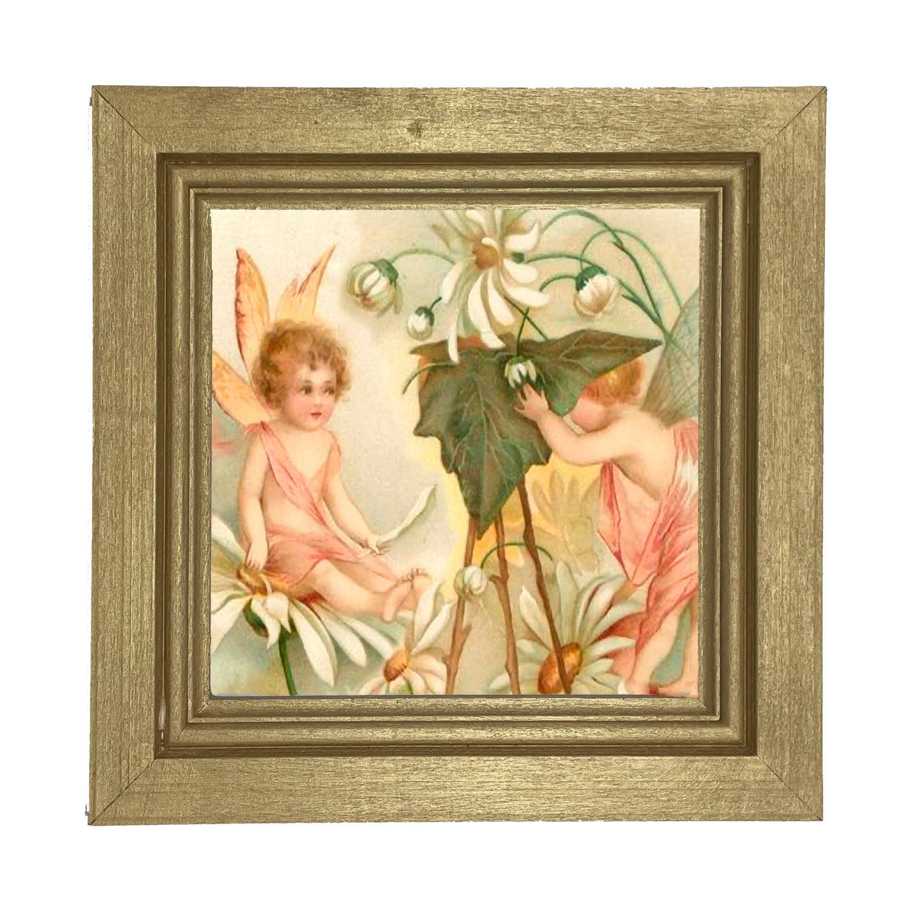 Fairy Photo - Framed art