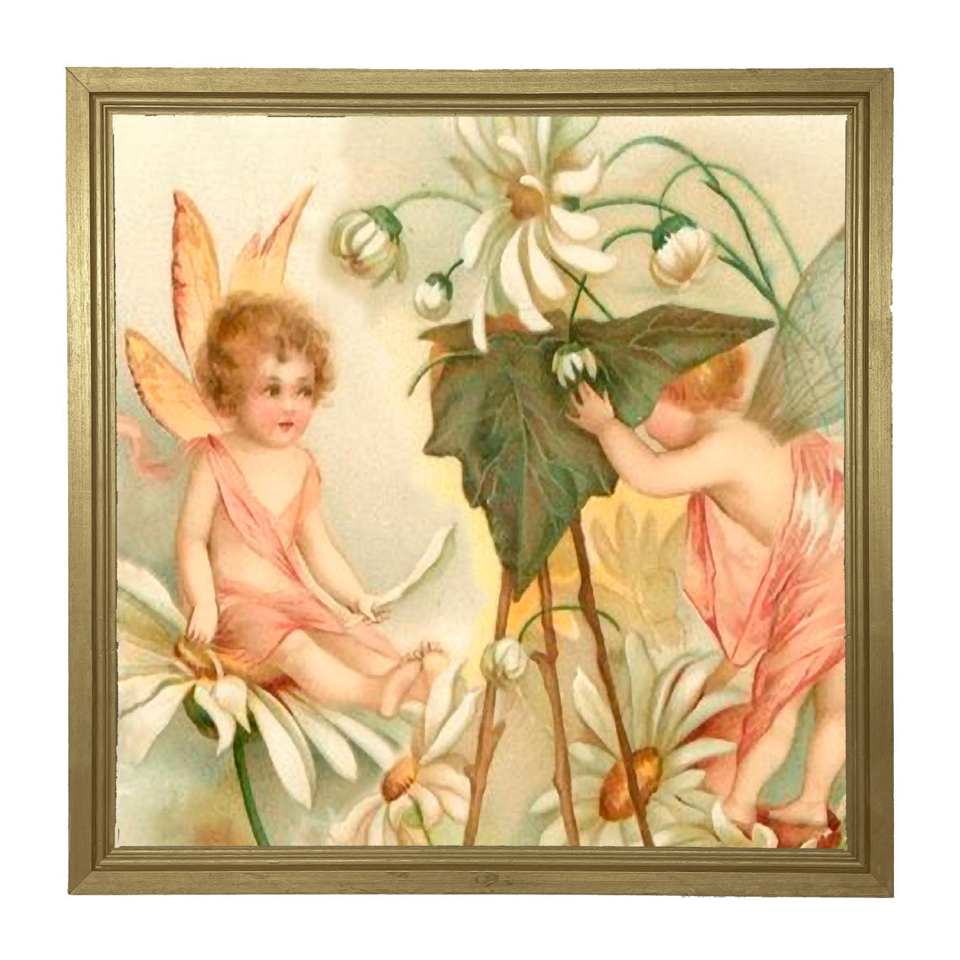 Fairy Photo - Framed art