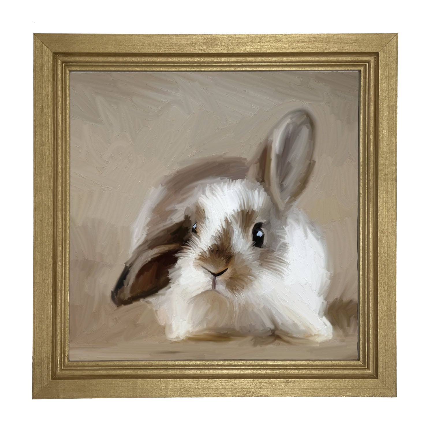Baby Bunny - Framed art