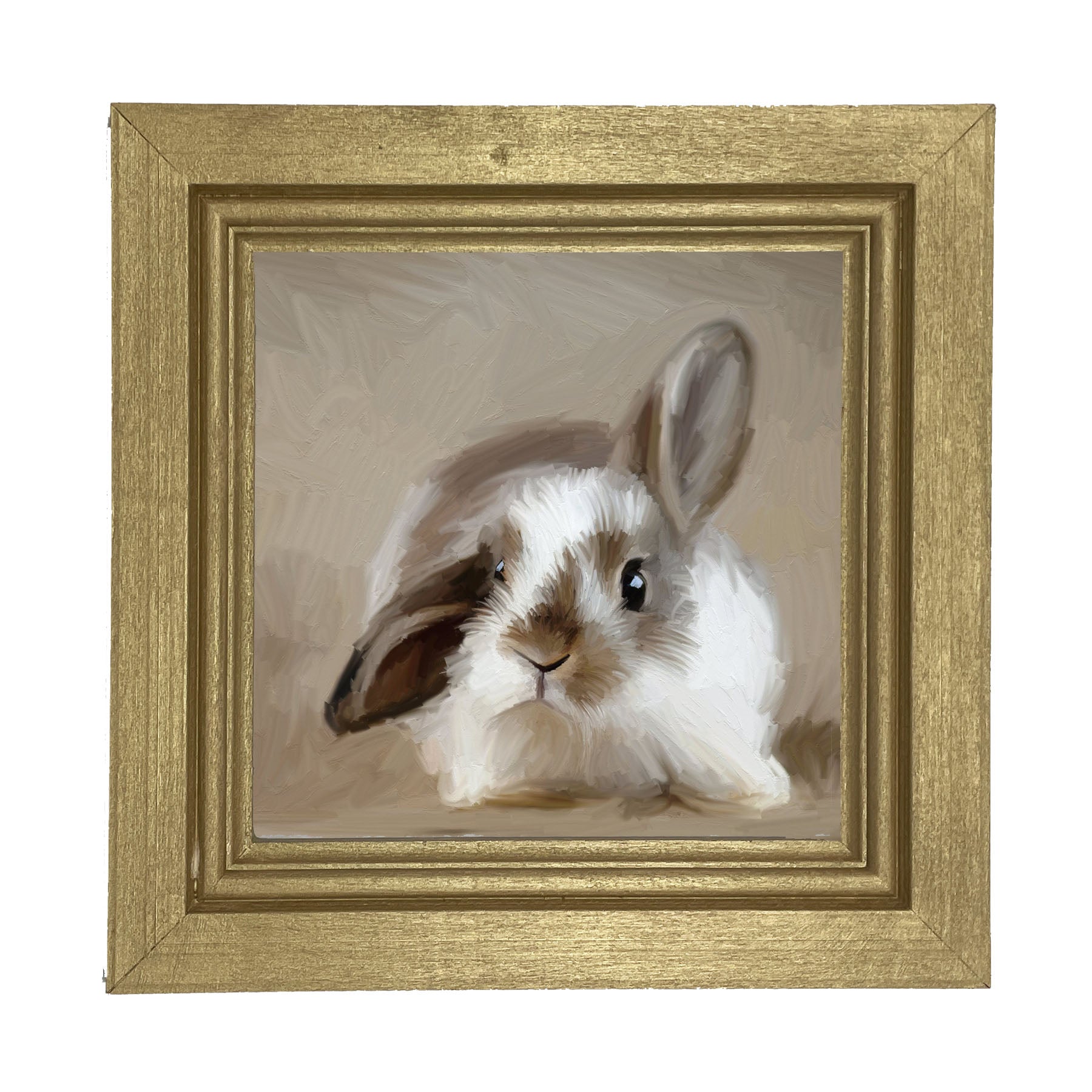 Baby Bunny - Framed art
