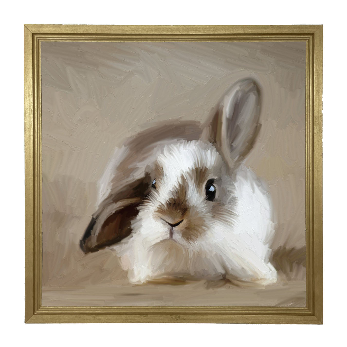 Baby Bunny - Framed art