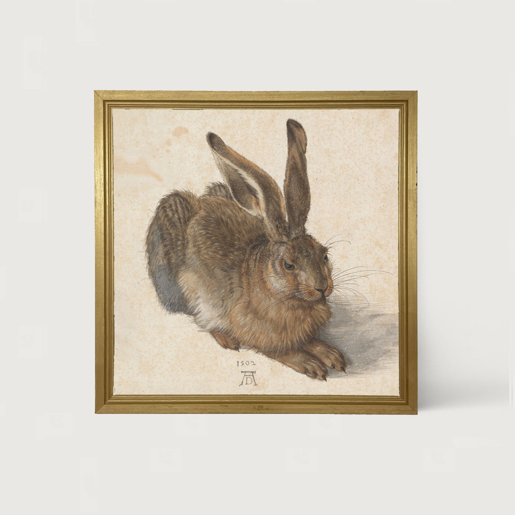 Brown Bunny - Framed art