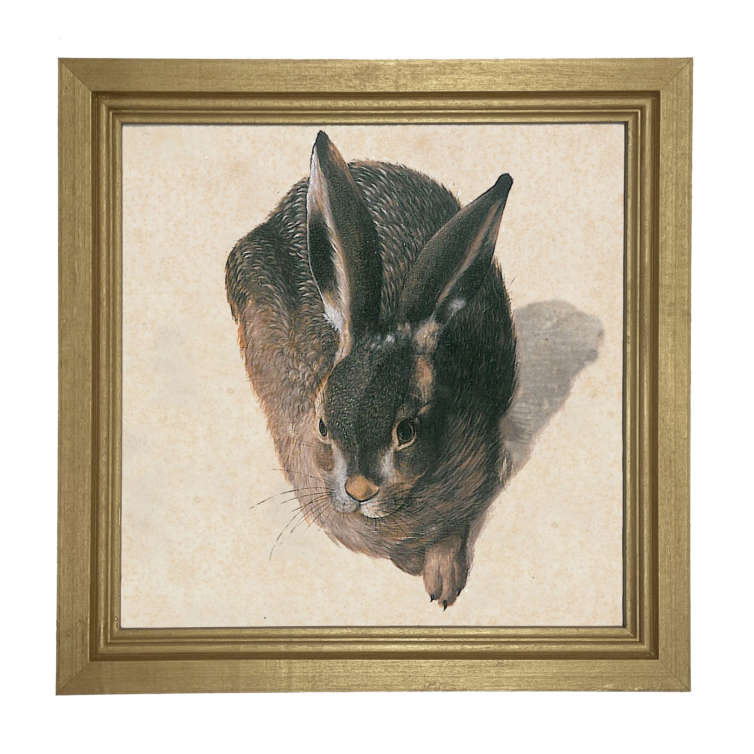 Vintage Hare - Framed Art