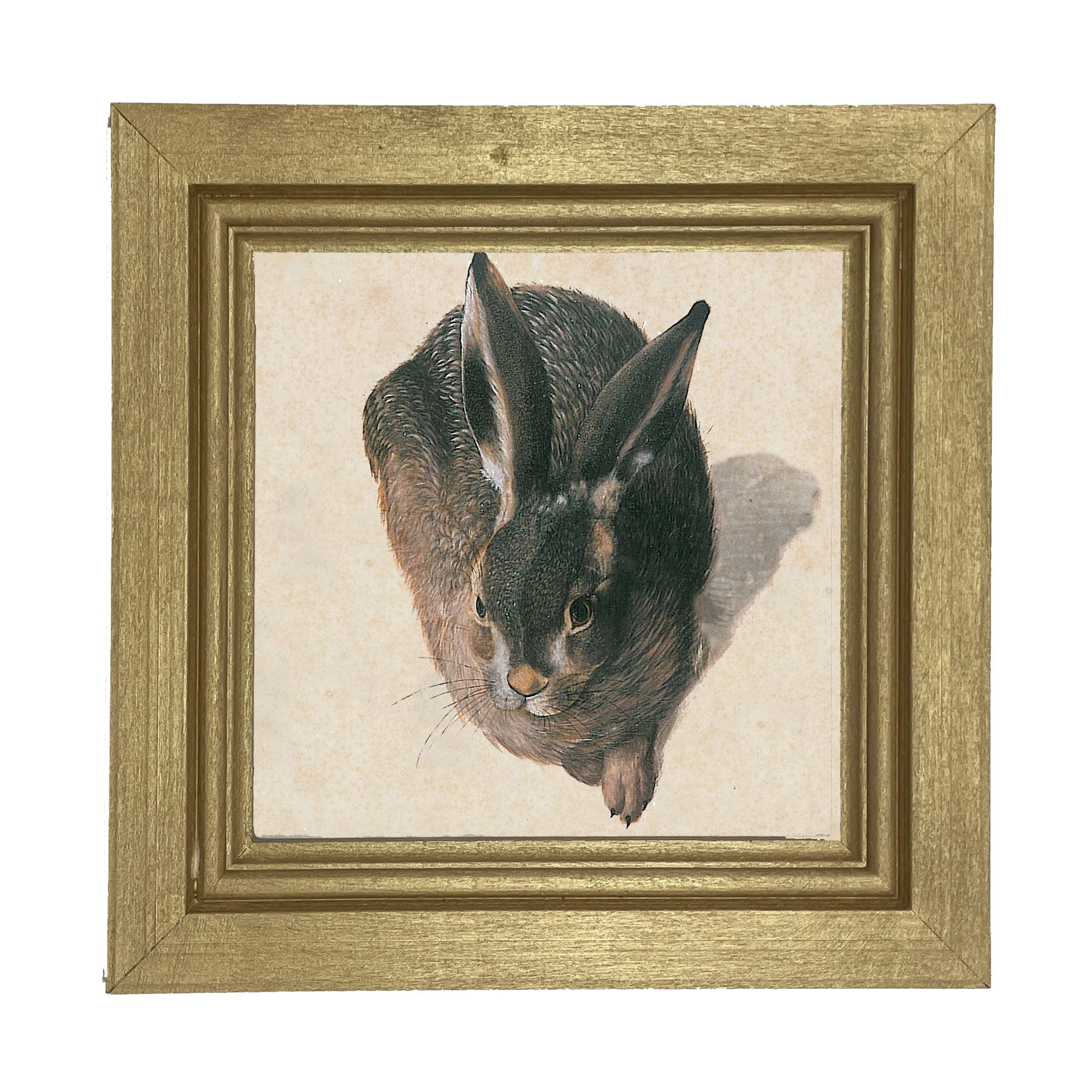 Vintage Hare - Framed Art