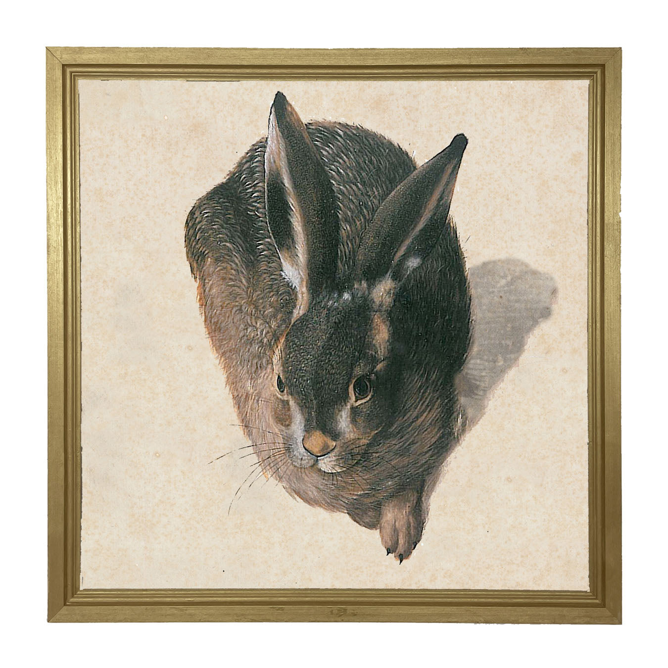 Vintage Hare - Framed Art
