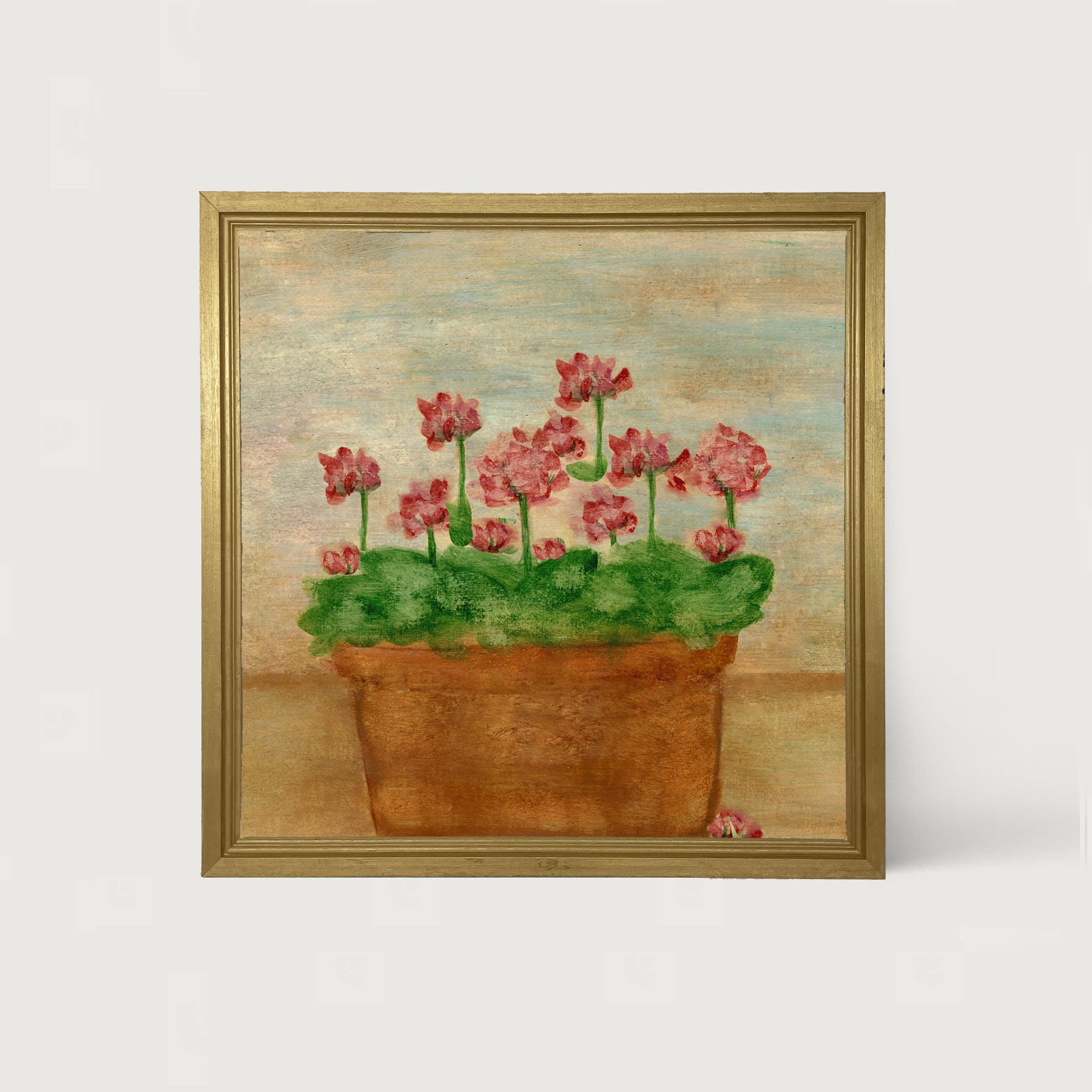 Red Geraniums