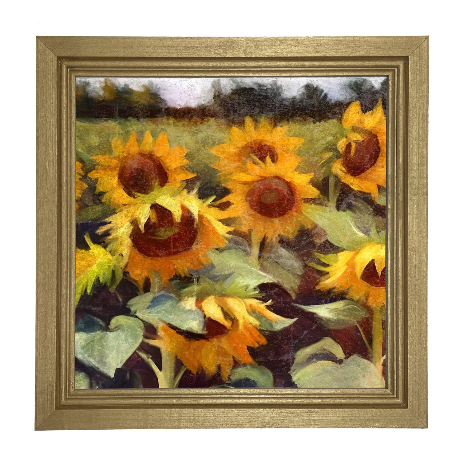 Scenic Sunflowers - Framed Art